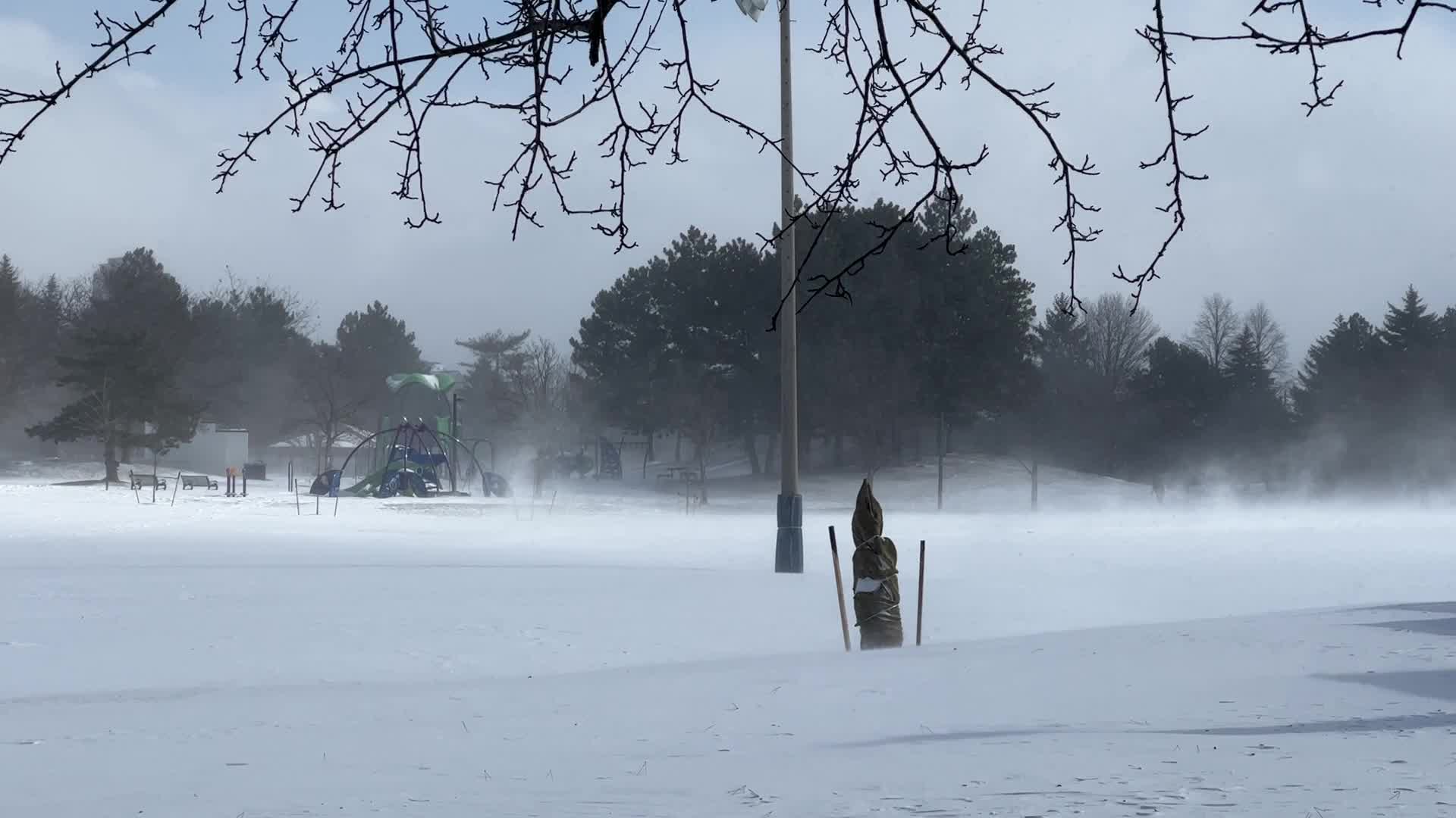 Strong winds caused blizzard like conditions in Toronto