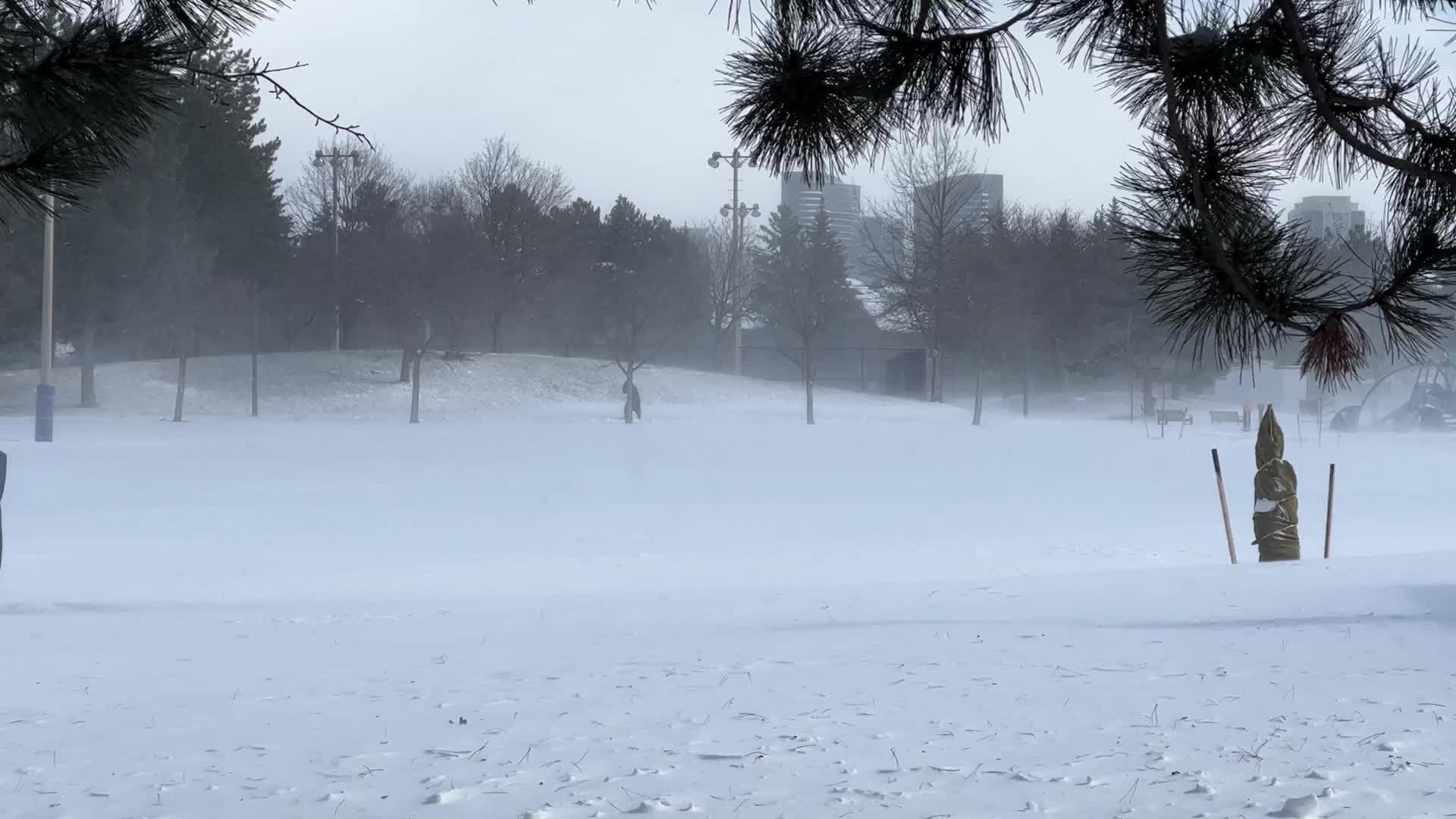 Strong winds caused blizzard like conditions in Toronto