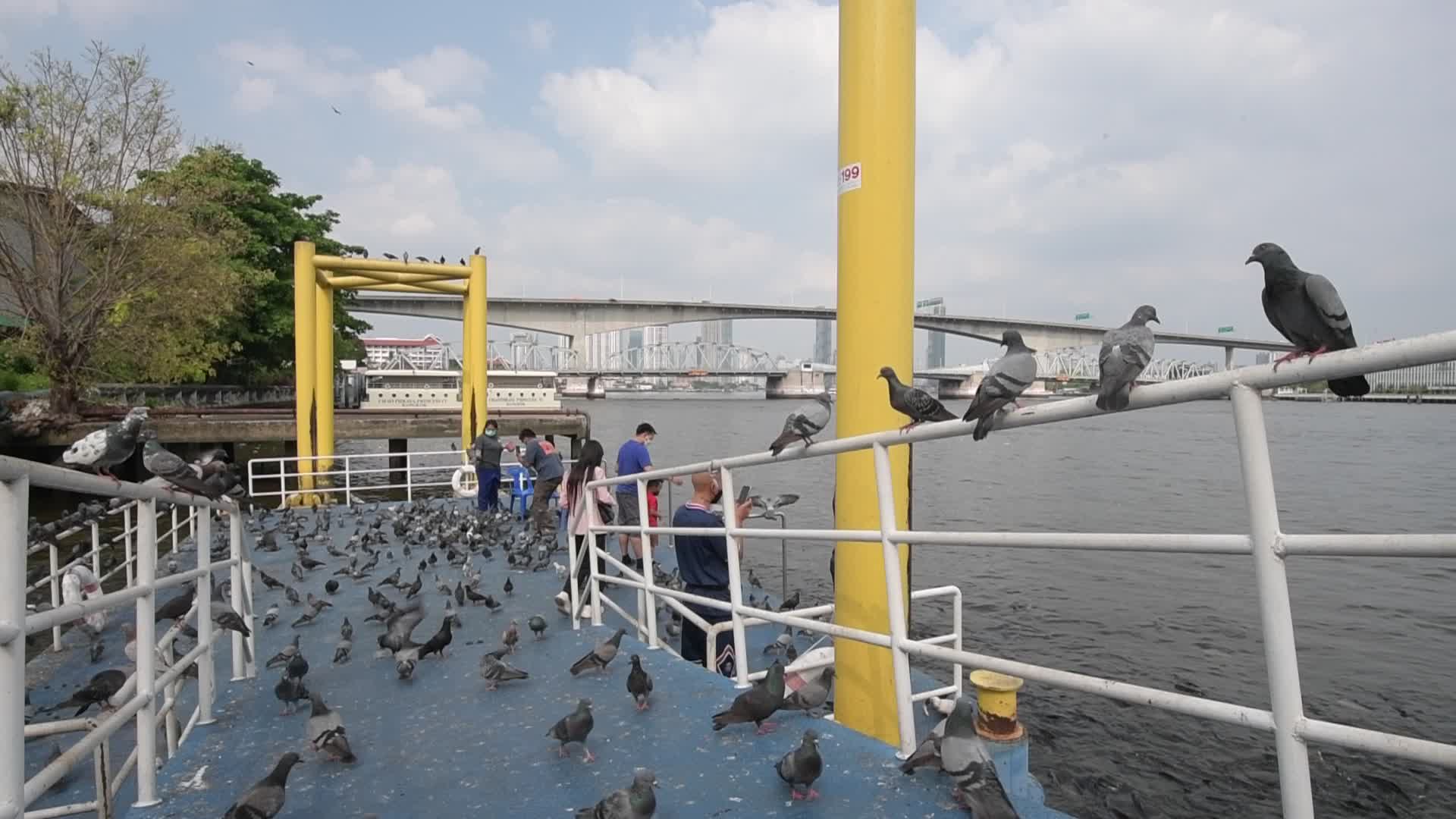 Daily life in Bangkok