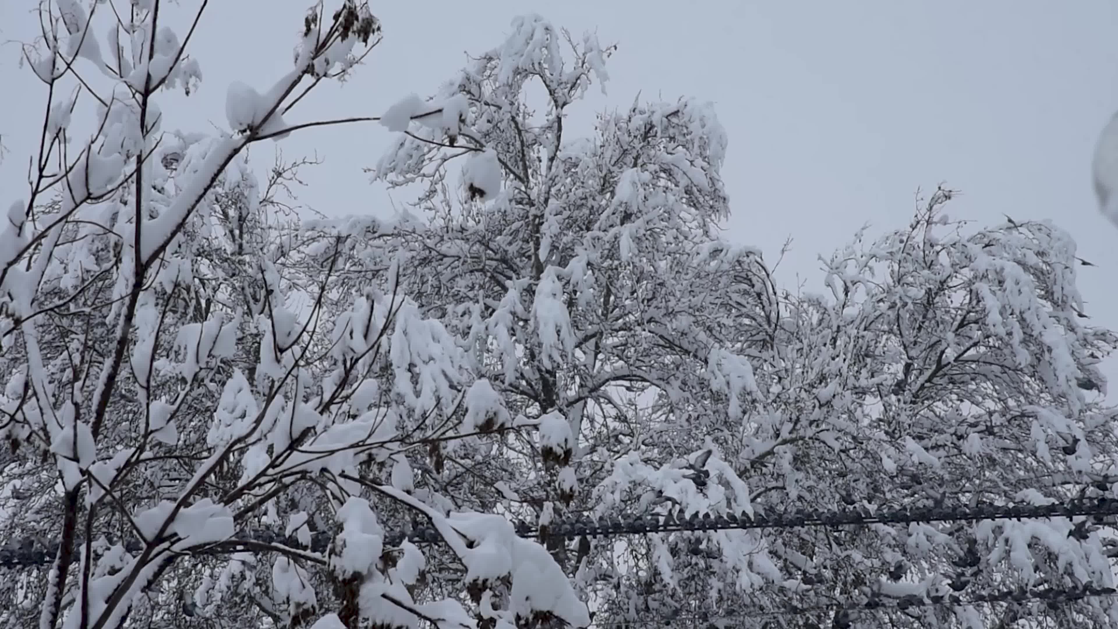 Heavy snowfall in Indian administered Kashmir