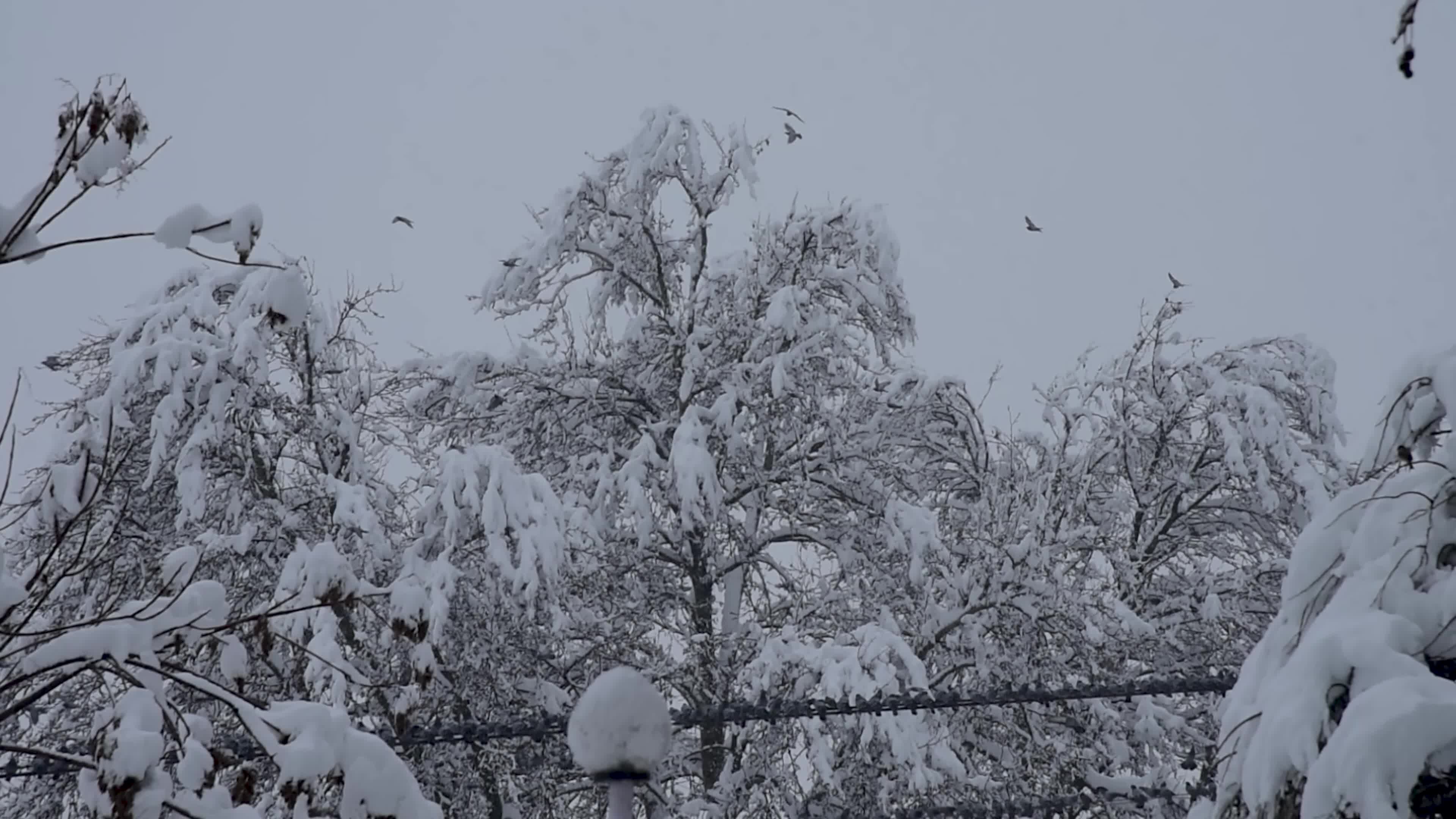 Heavy snowfall in Indian administered Kashmir
