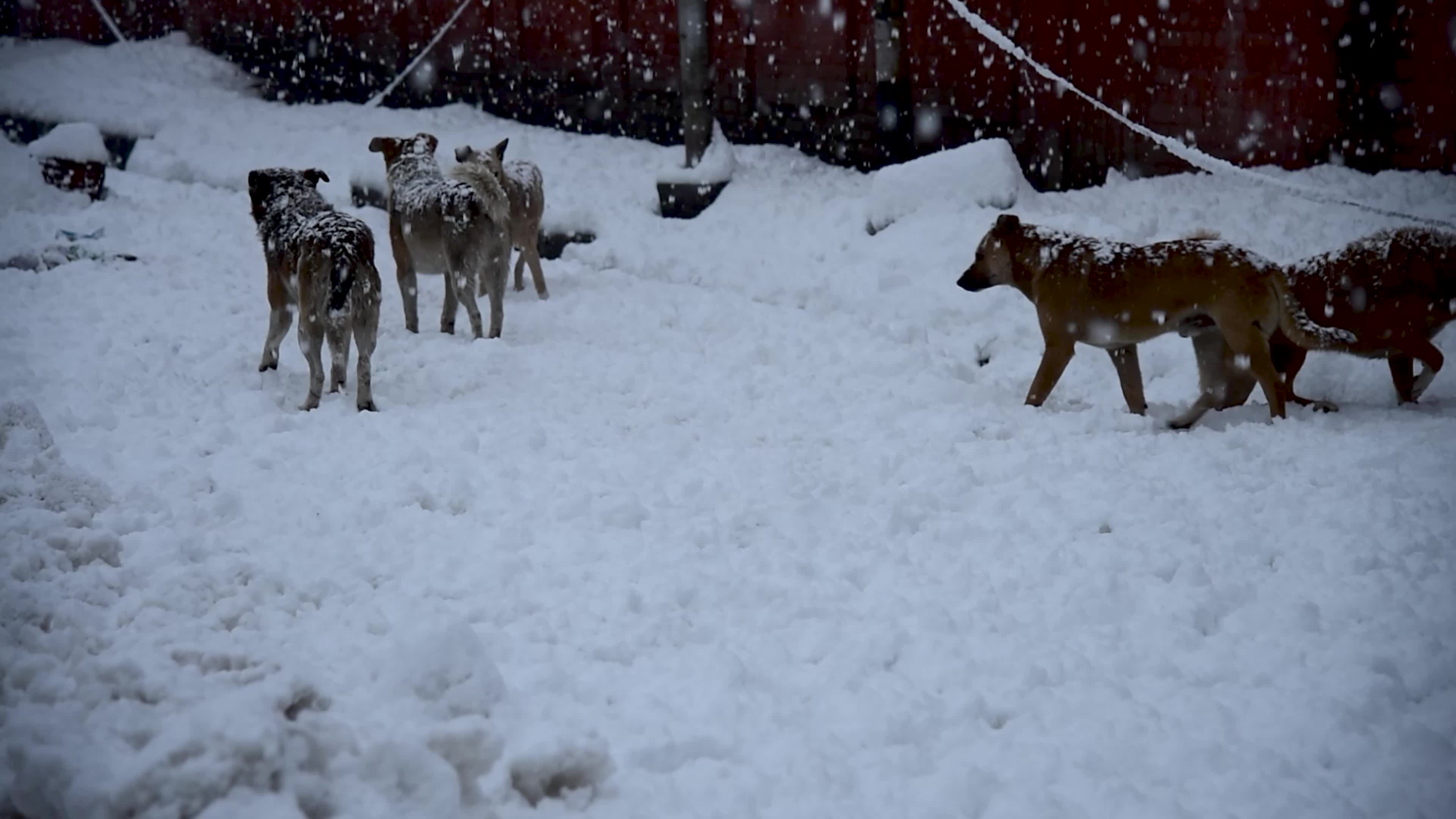 Heavy snowfall in Indian administered Kashmir