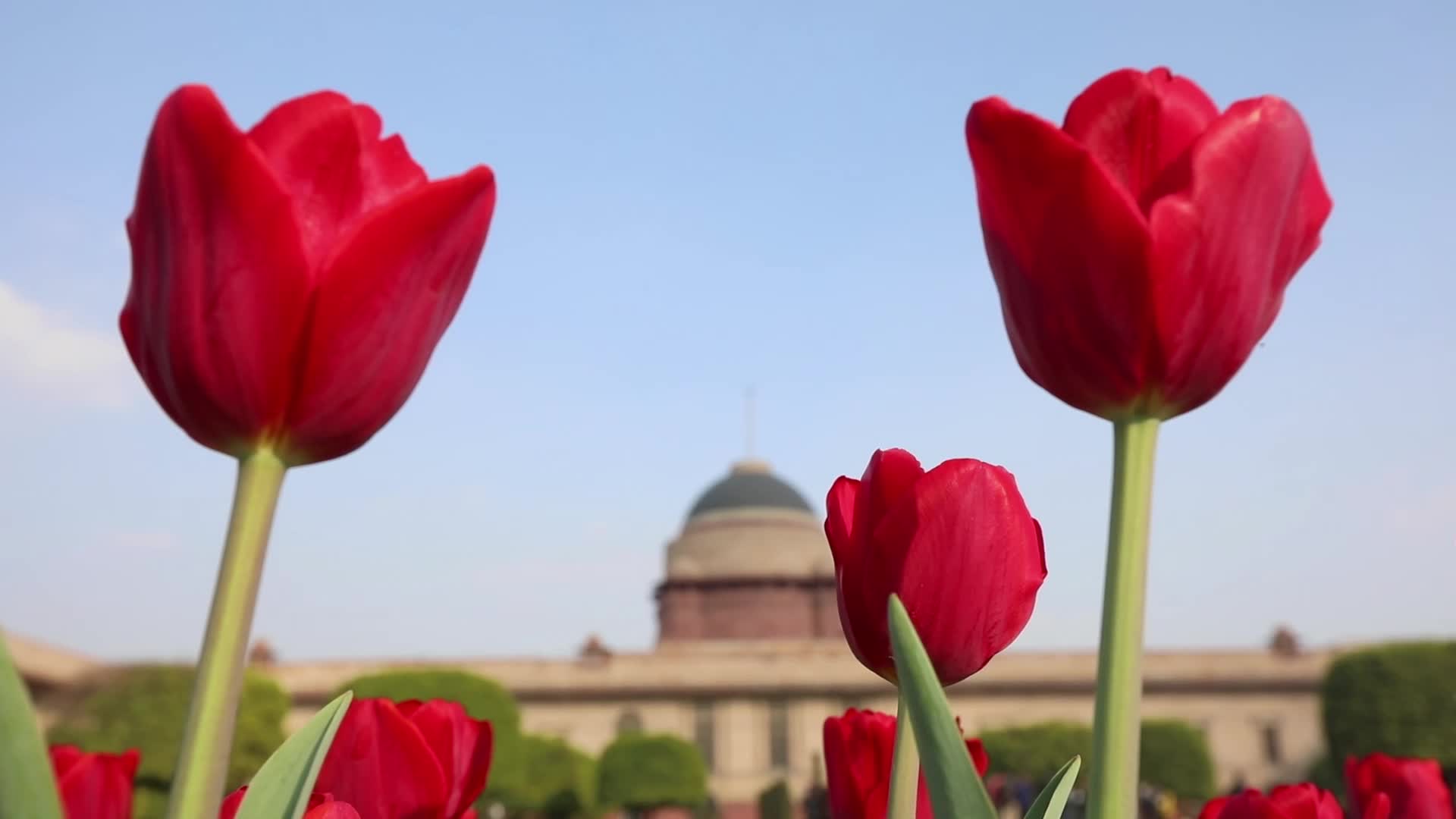 Mughal Garden Reopens In New Delhi