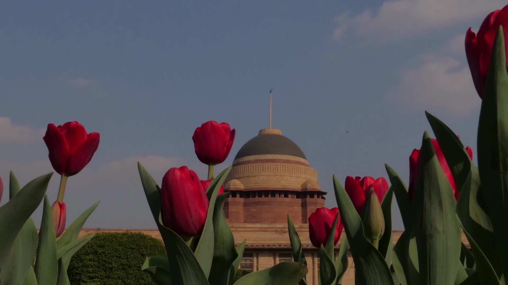 Mughal Garden Reopens In New Delhi