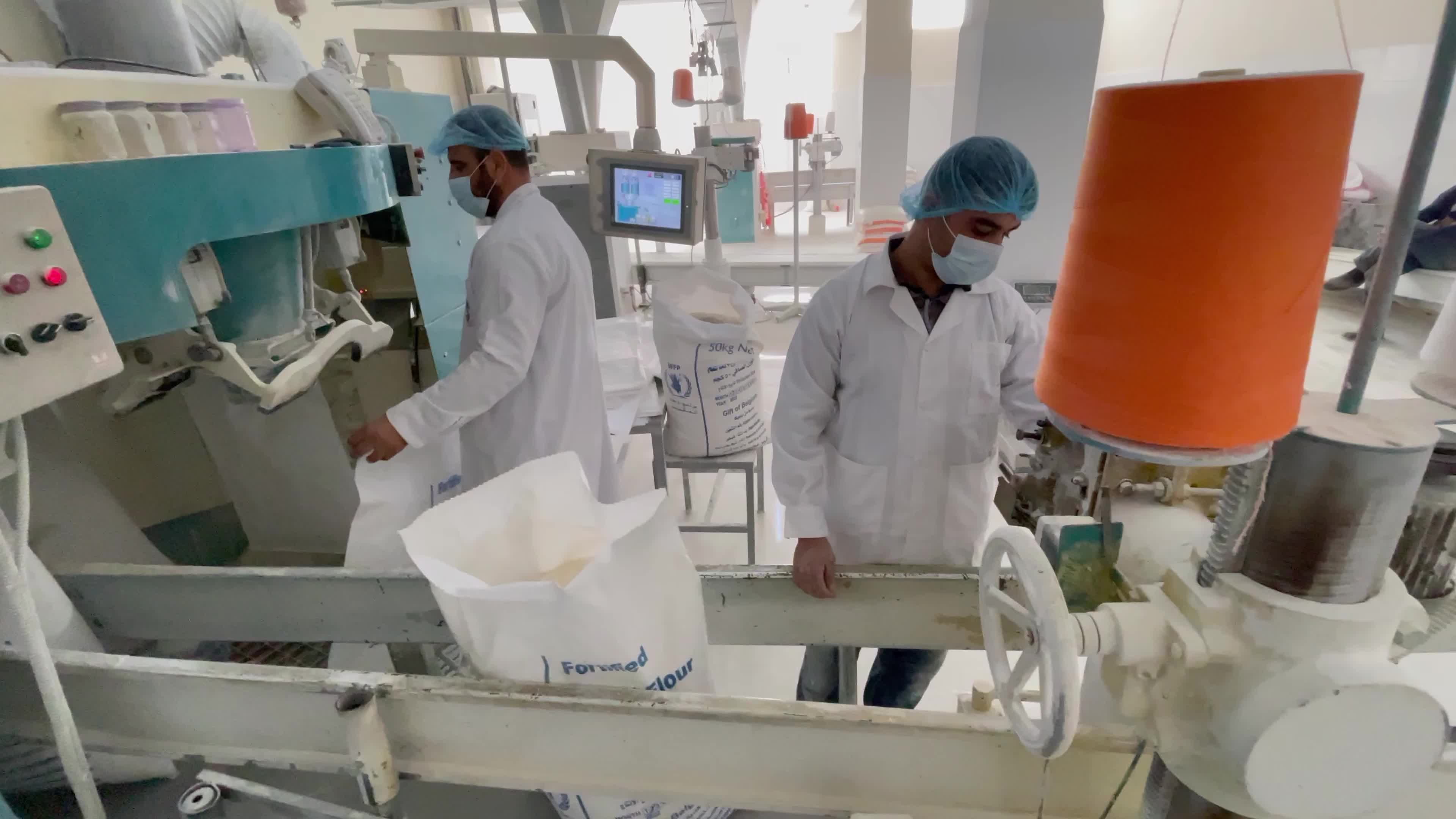 Wheat Mill In Gaza, Palestine