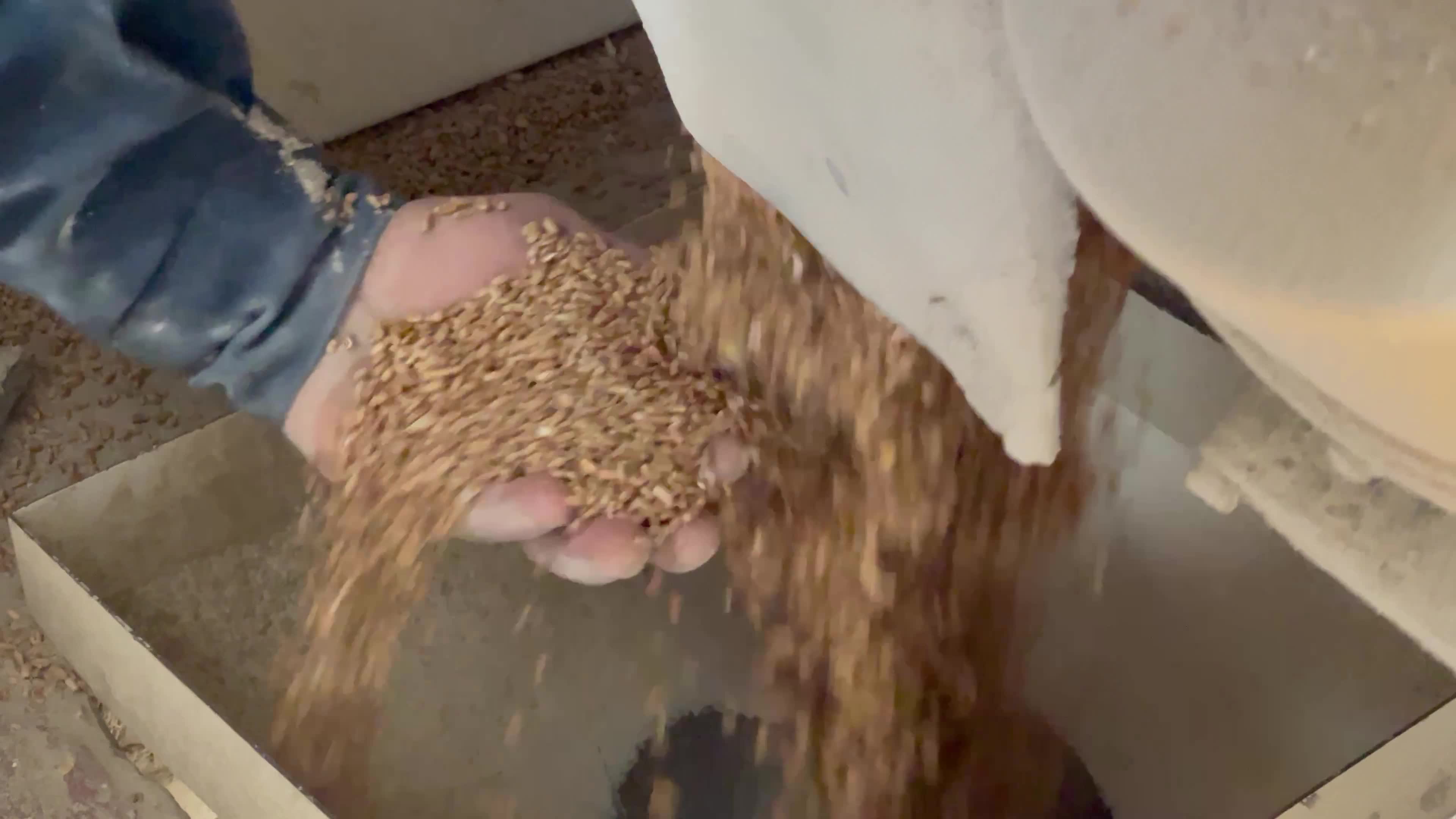 Wheat Mill In Gaza, Palestine