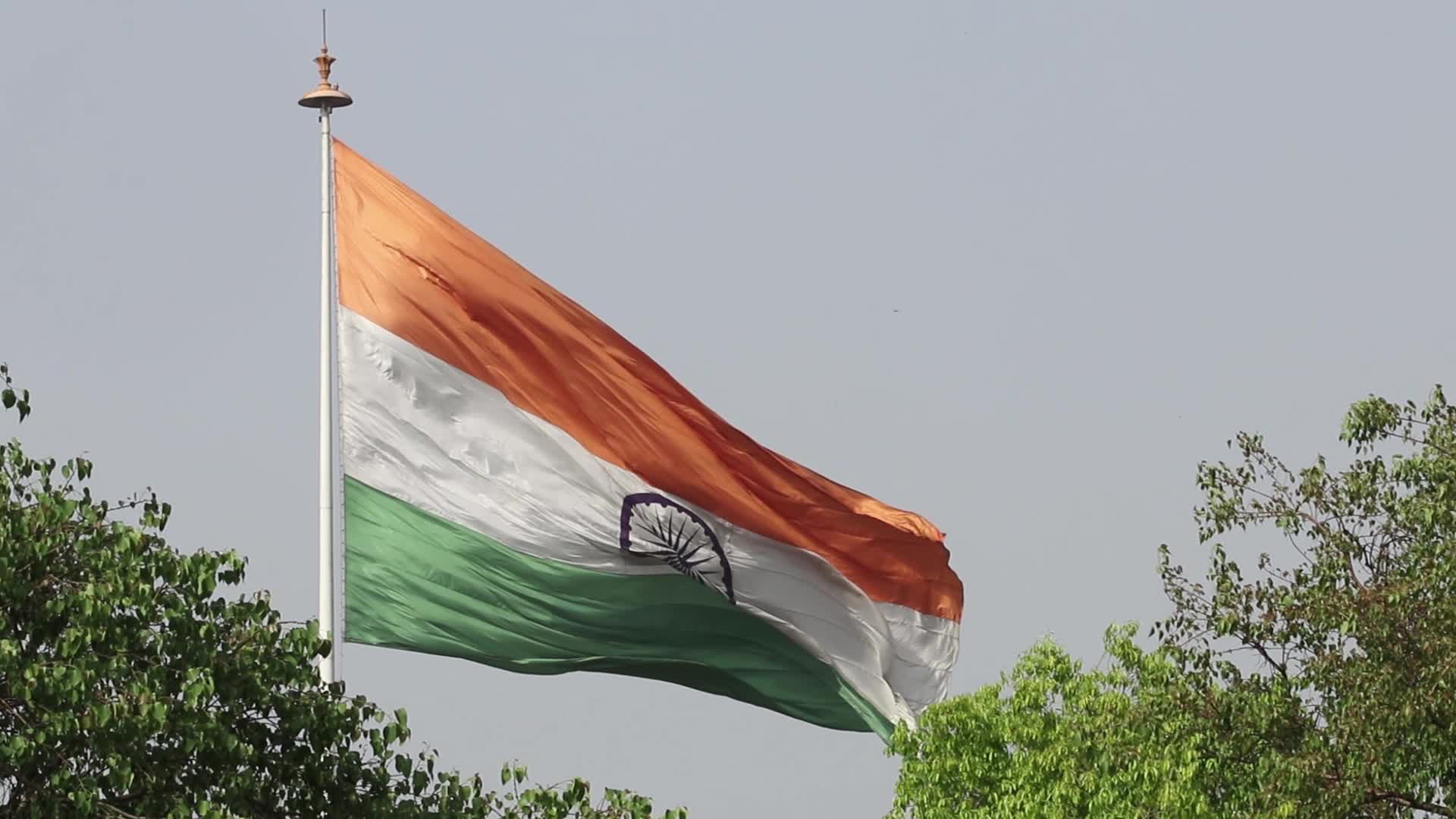 Pigeons flying in front of India national flag at outer circle of connaught place
