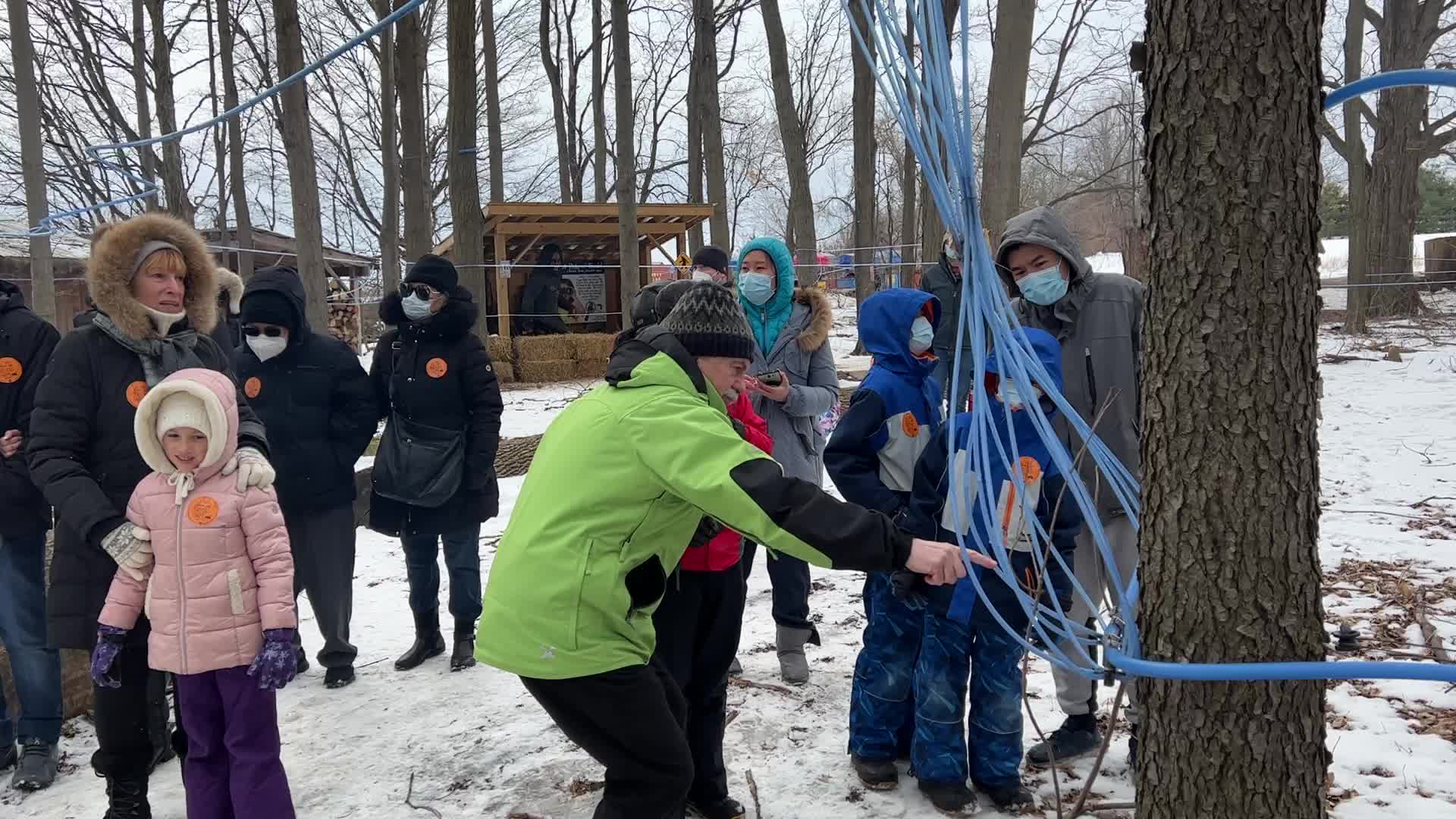Maple syrup production in Canada
