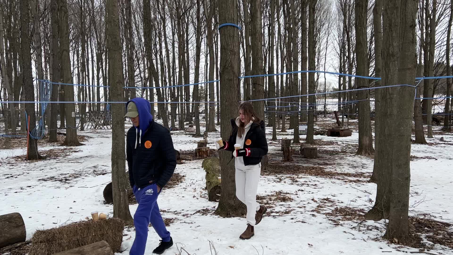 Maple syrup production in Canada