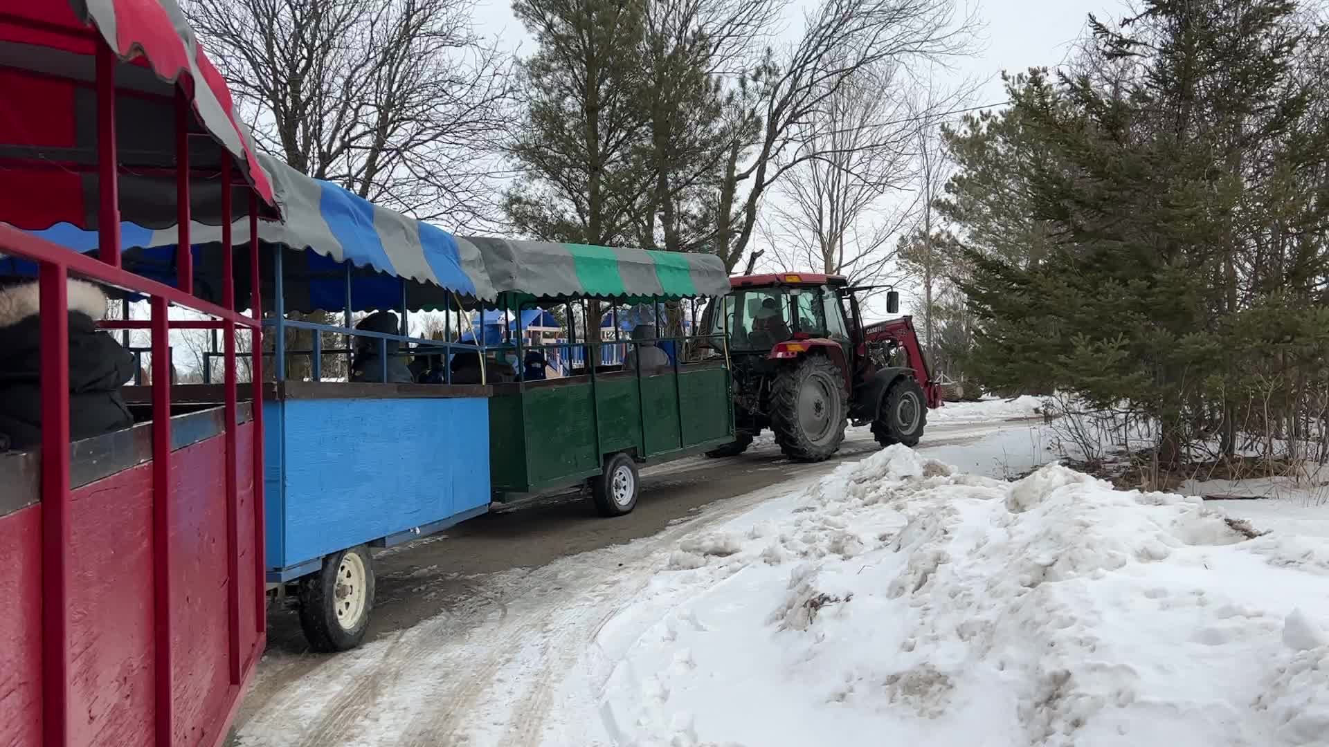 Maple syrup production in Canada