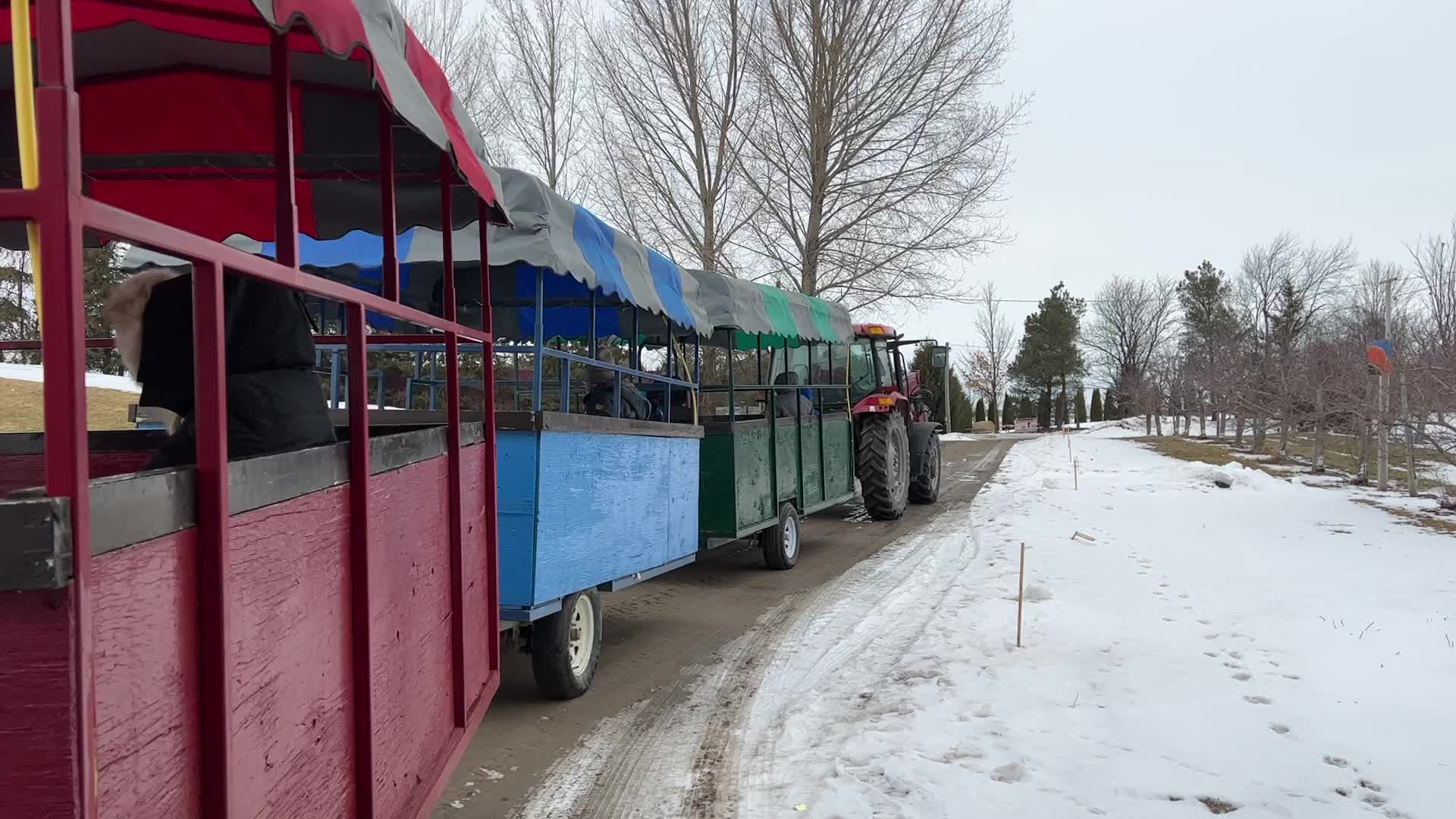Maple syrup production in Canada