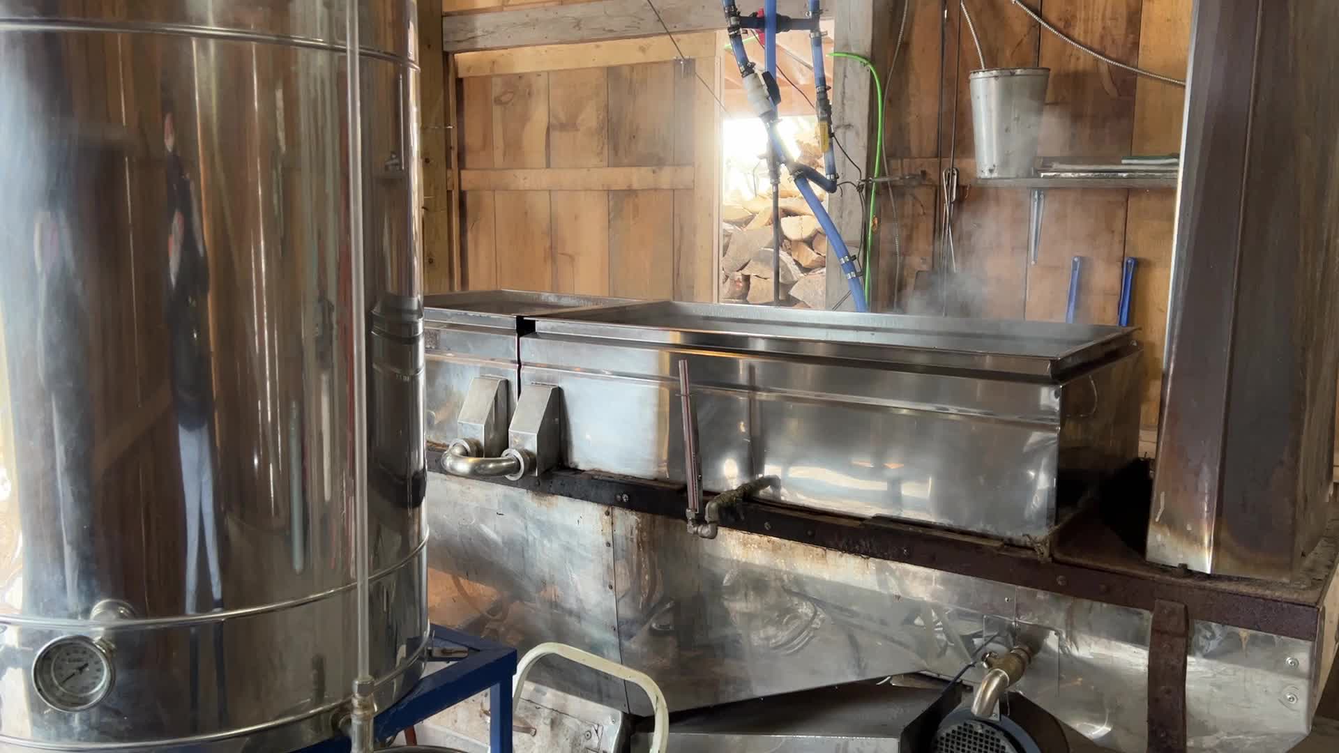 Maple syrup production in Canada