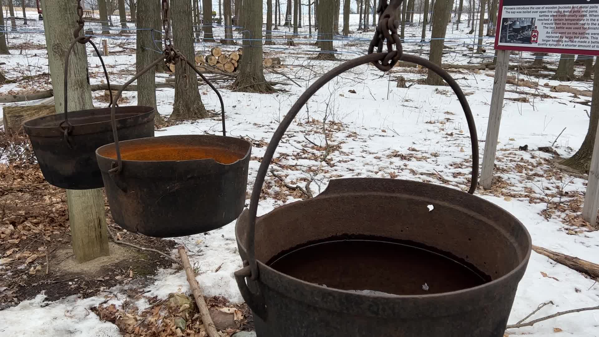 Maple syrup production in Canada