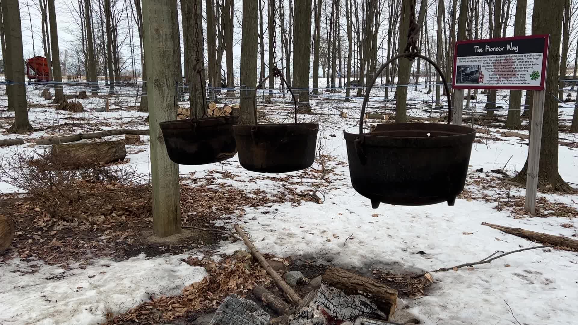 Maple syrup production in Canada