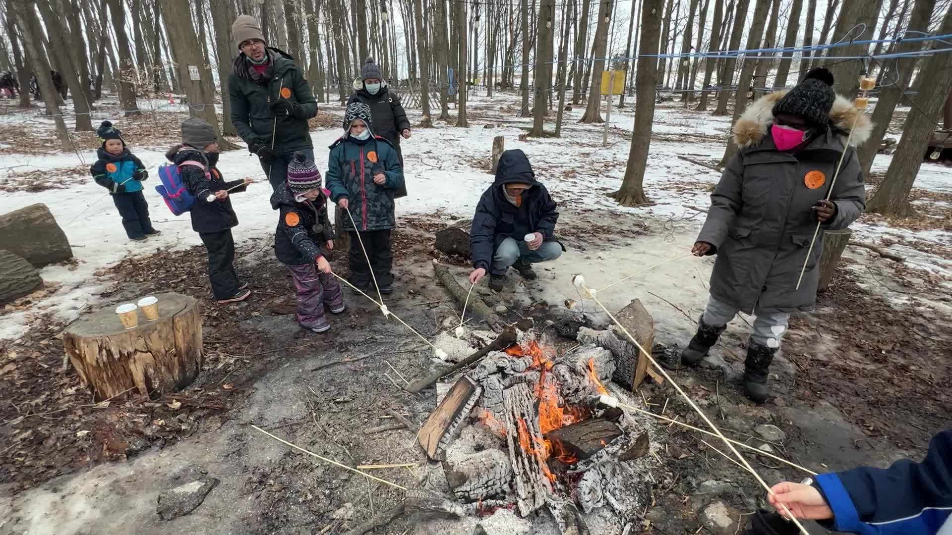 Maple syrup production in Canada