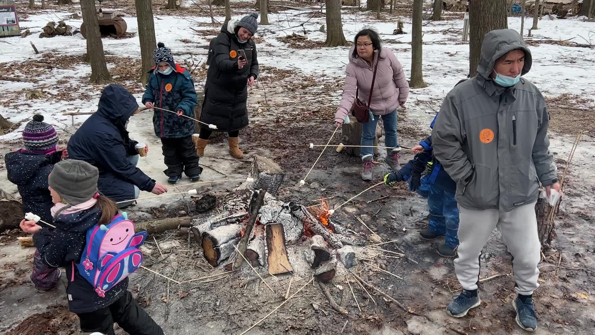 Maple syrup production in Canada