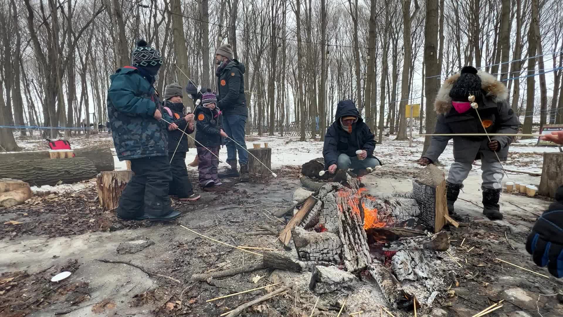 Maple syrup production in Canada
