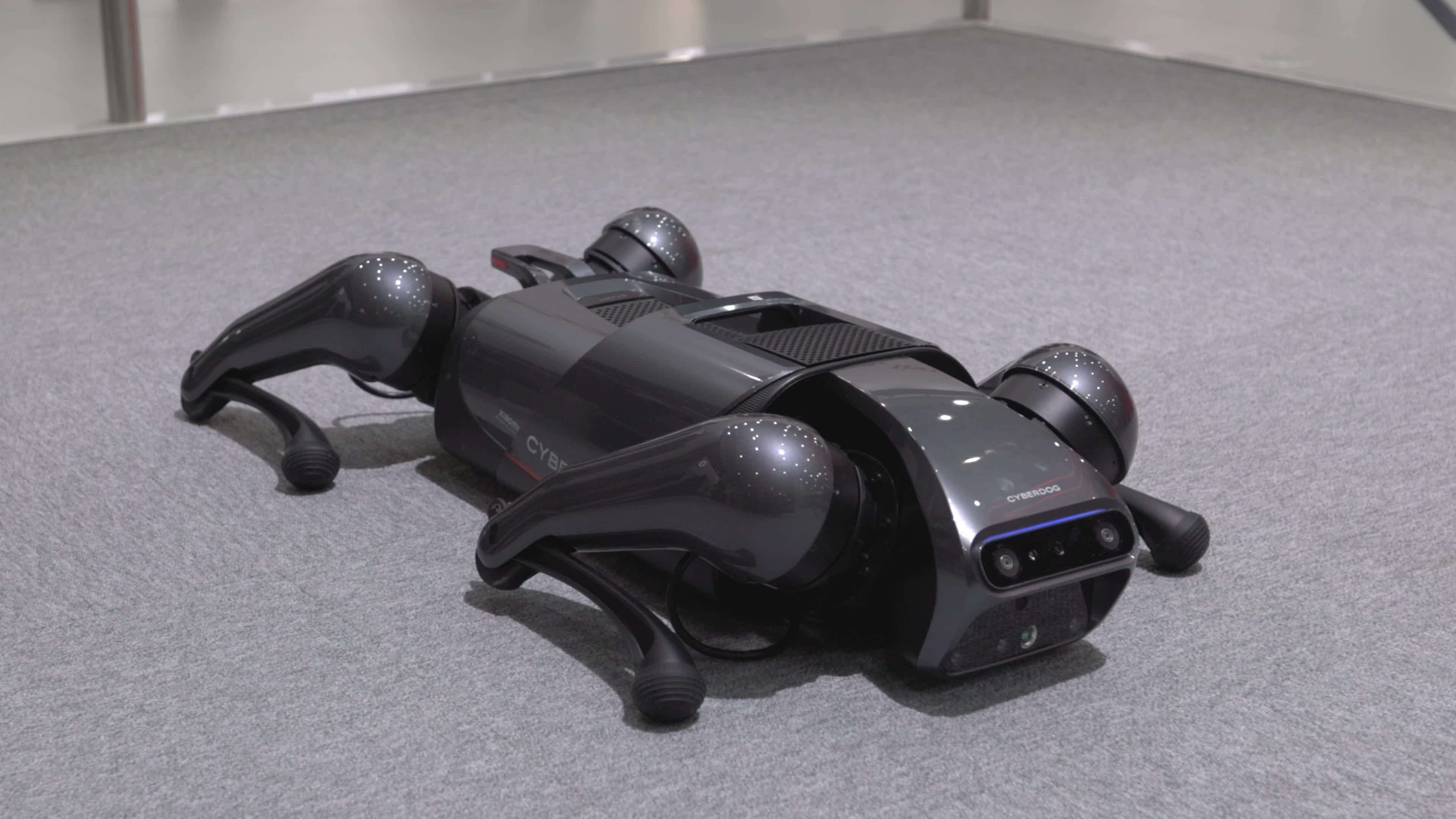 CyberDog the dog-inspired robot by the Chinese brand Xiaomi