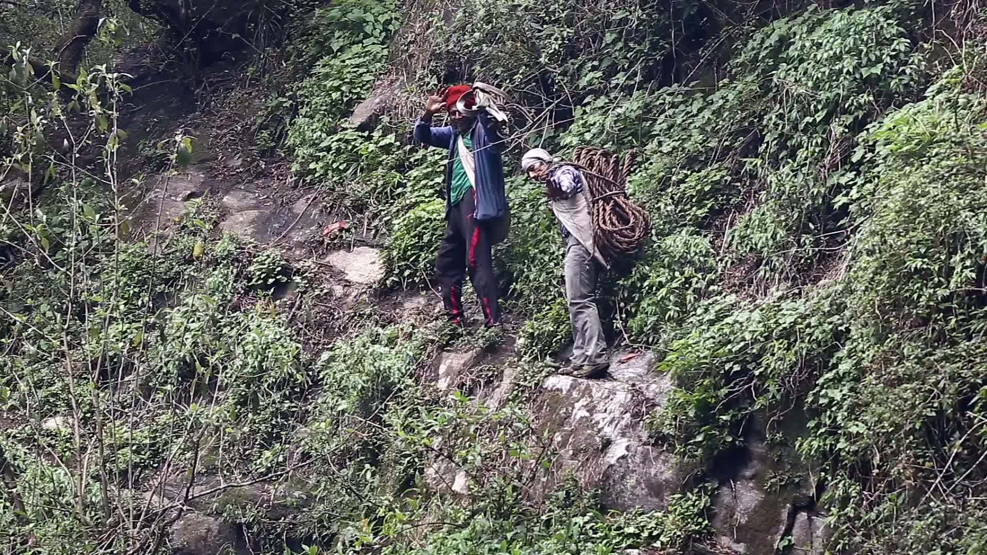 Honey Hunting in Nepal