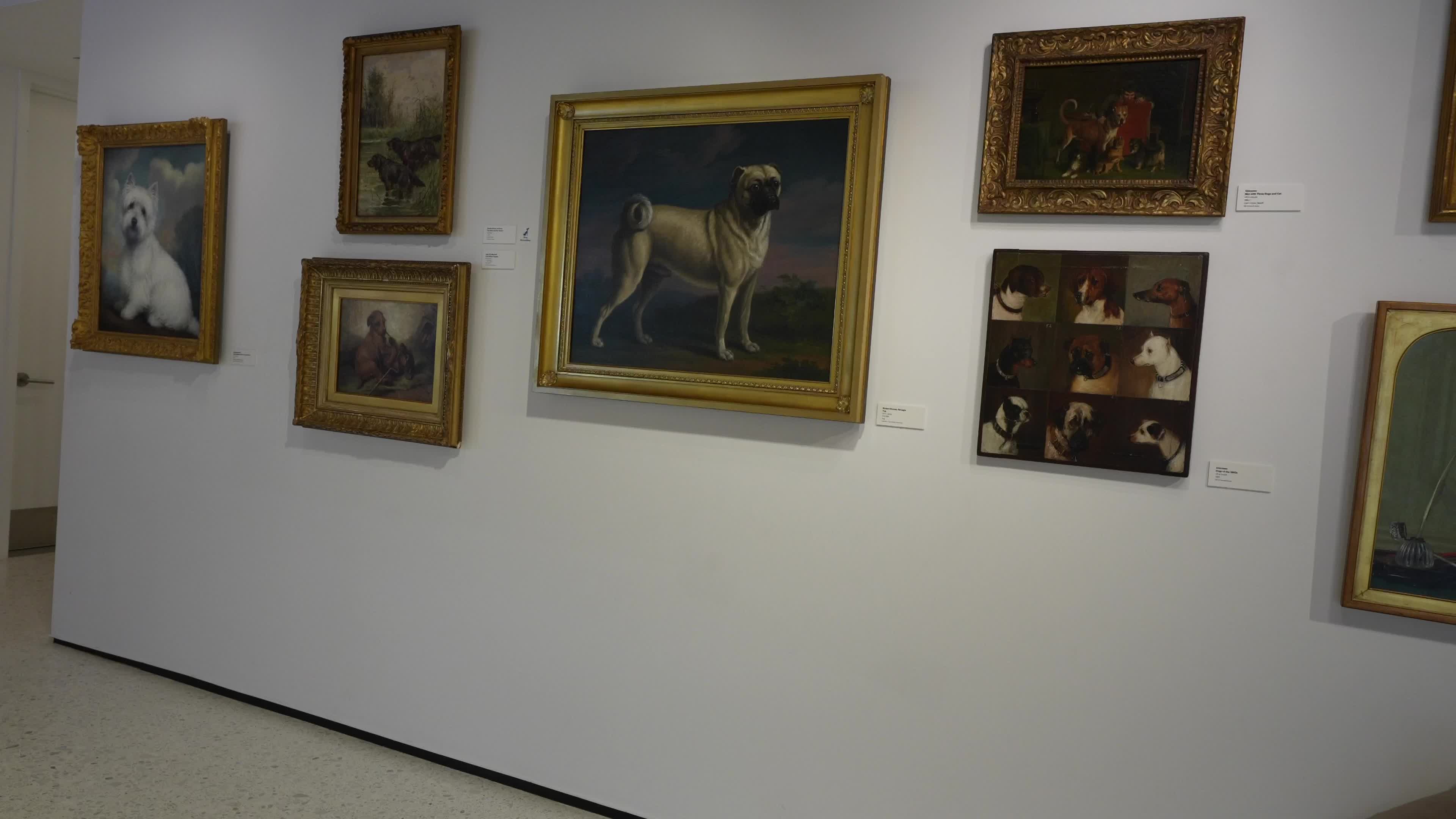 The AKC Museum of the Dog “DOGS OF WAR AND PEACE” EXHIBIT