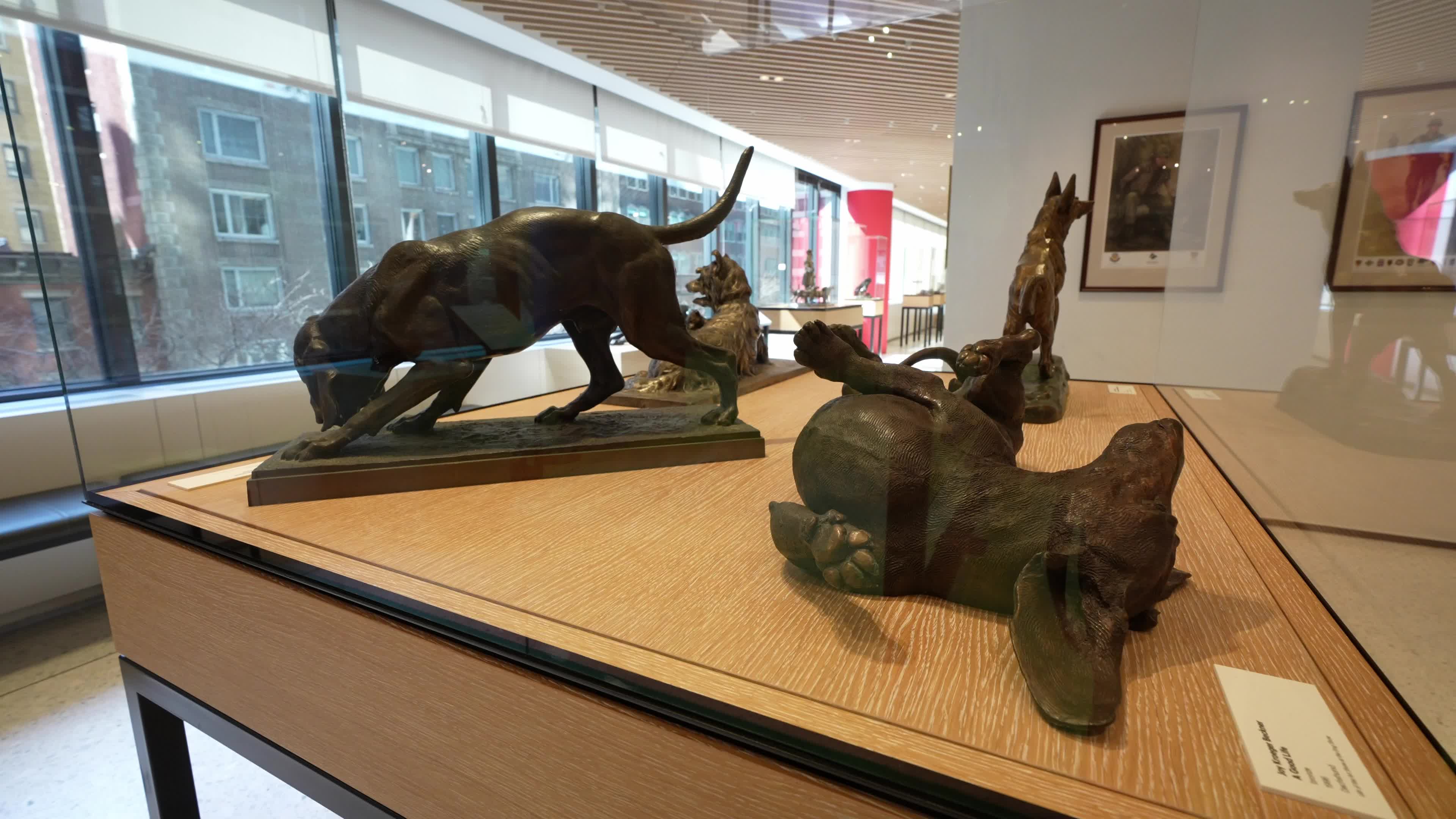 The AKC Museum of the Dog “DOGS OF WAR AND PEACE” EXHIBIT