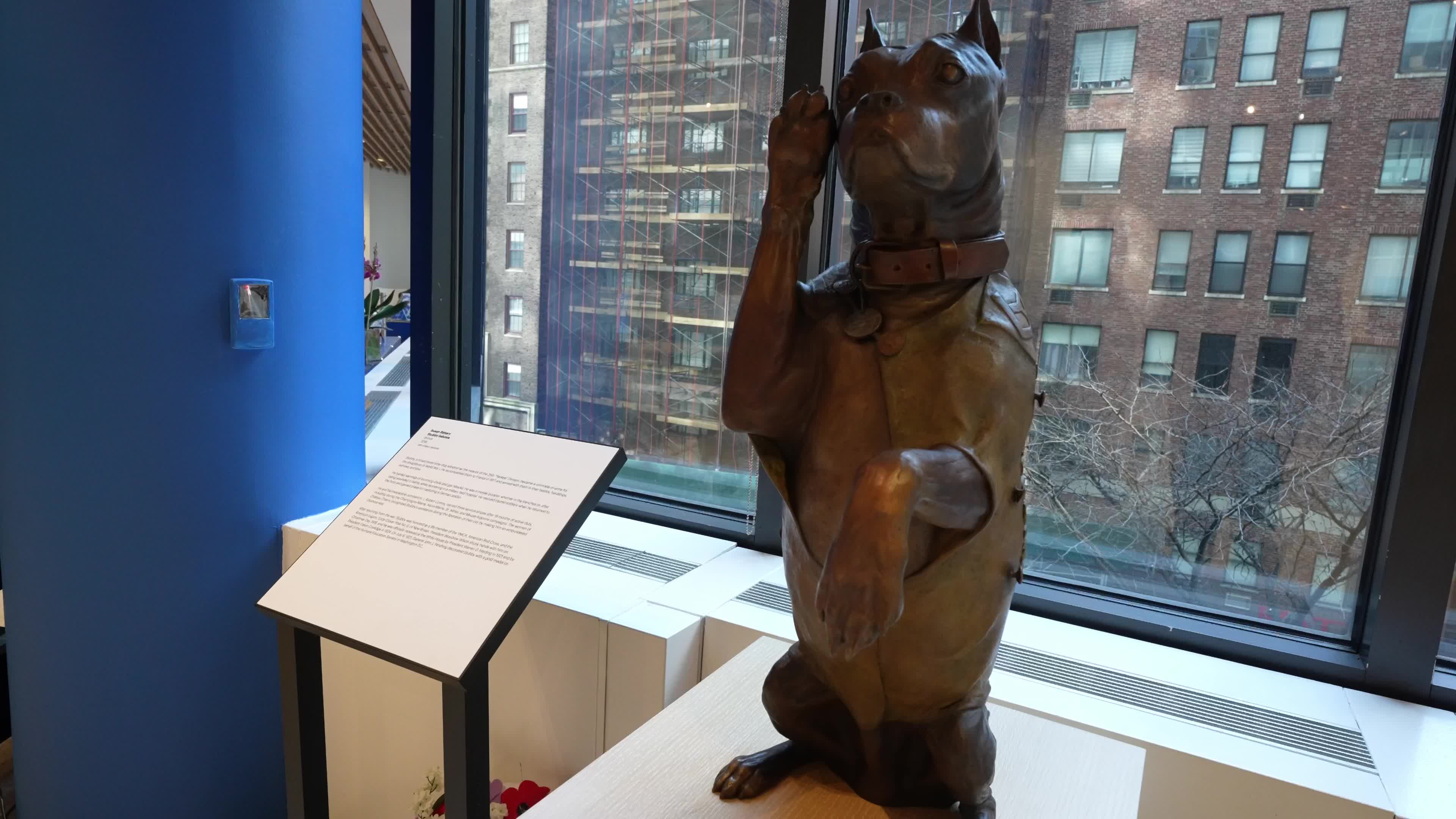 The AKC Museum of the Dog “DOGS OF WAR AND PEACE” EXHIBIT