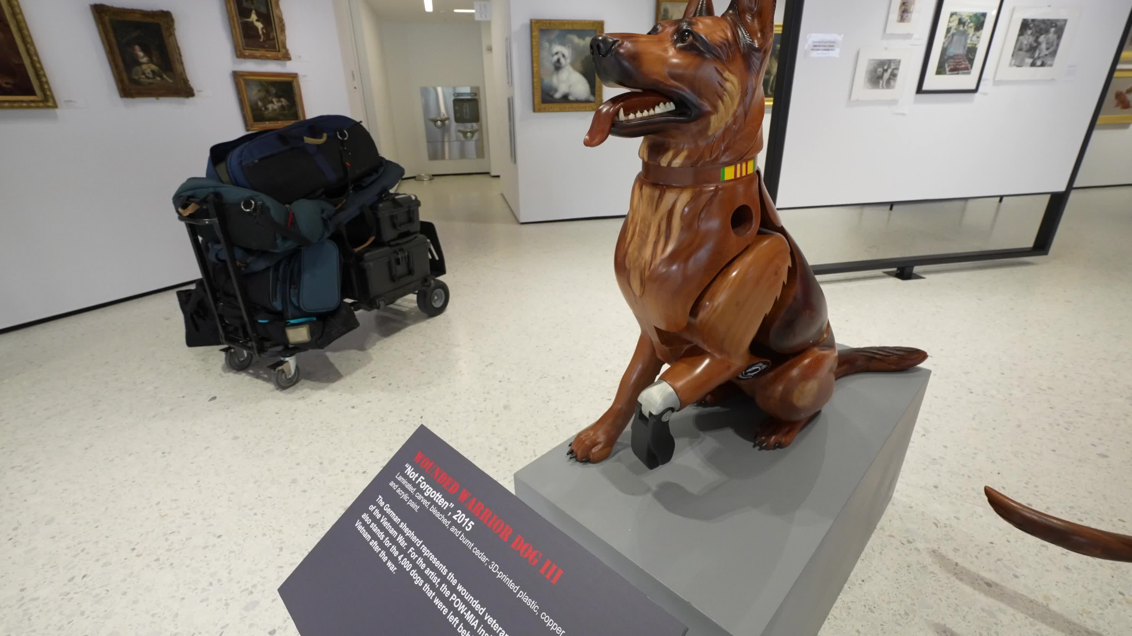 The AKC Museum of the Dog “DOGS OF WAR AND PEACE” EXHIBIT