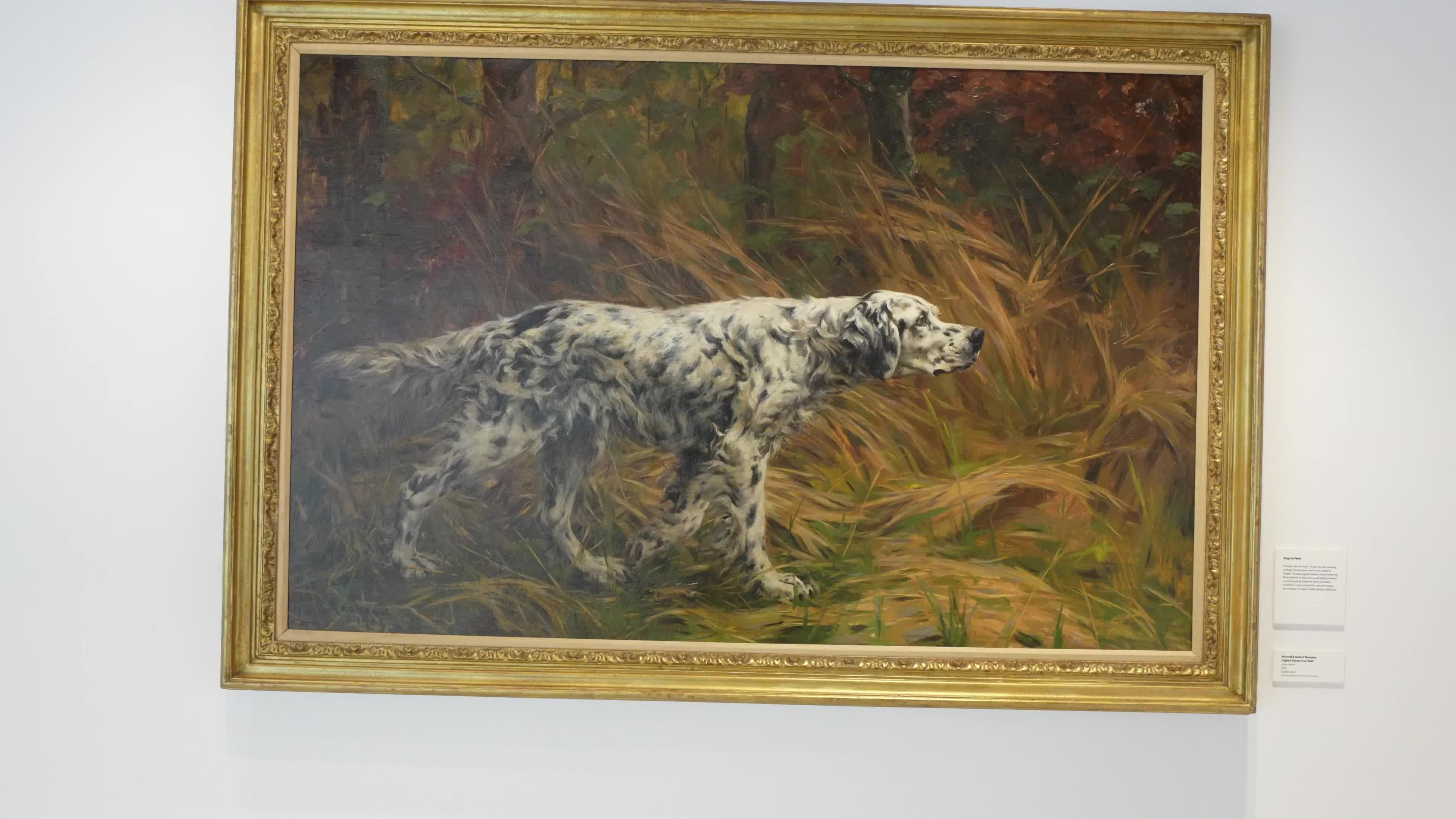 The AKC Museum of the Dog “DOGS OF WAR AND PEACE” EXHIBIT