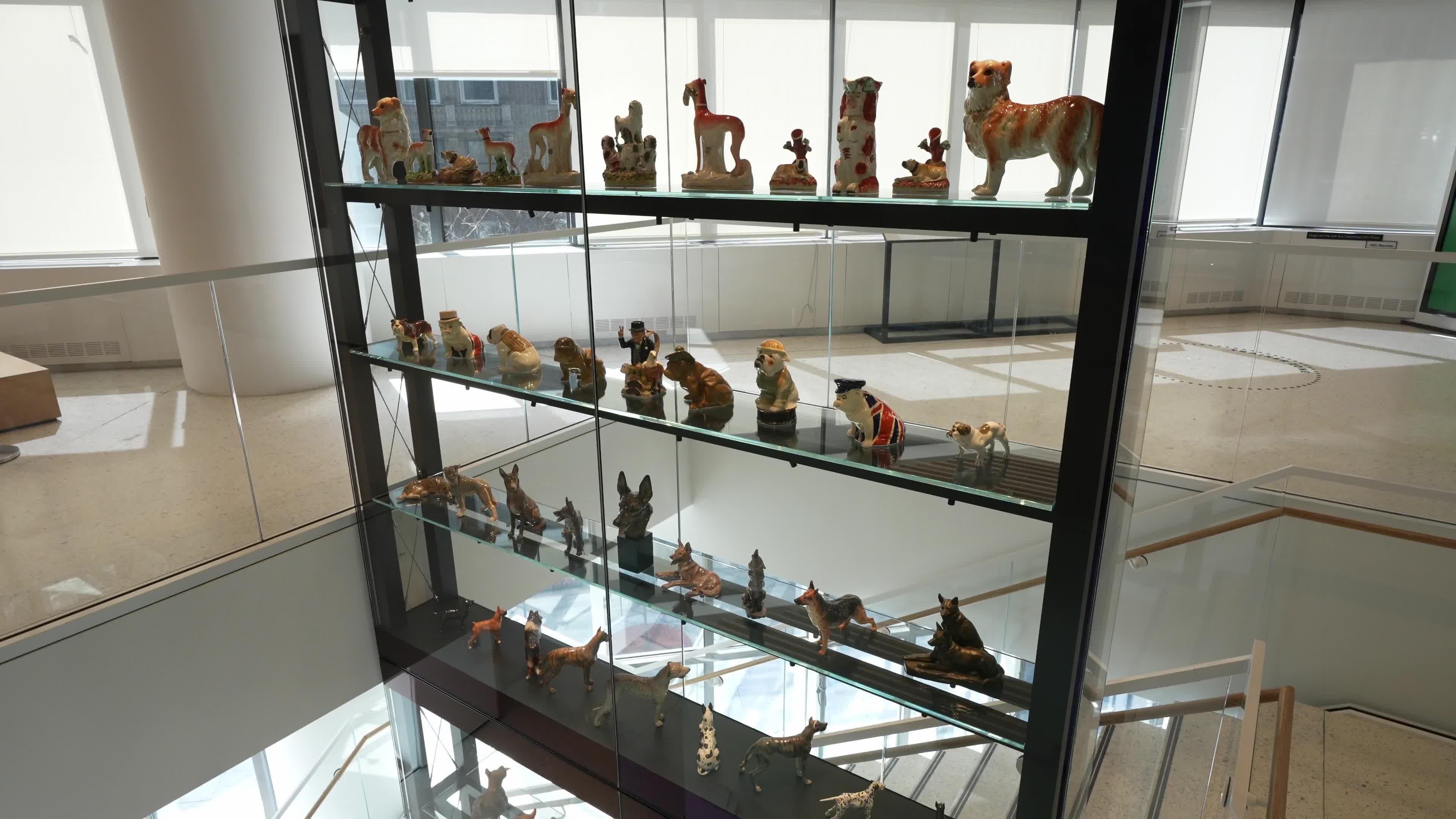 The AKC Museum of the Dog “DOGS OF WAR AND PEACE” EXHIBIT