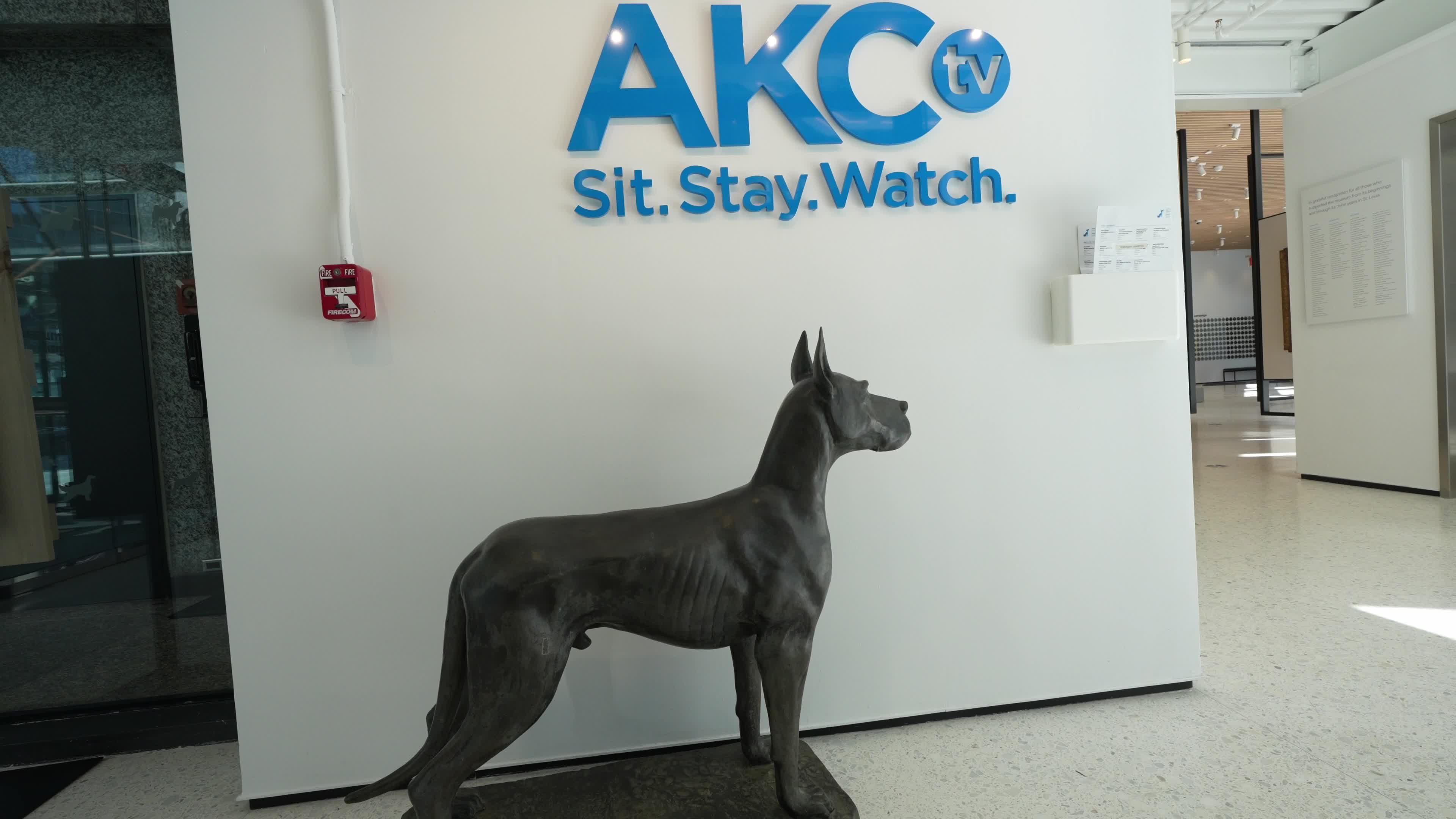 The AKC Museum of the Dog “DOGS OF WAR AND PEACE” EXHIBIT