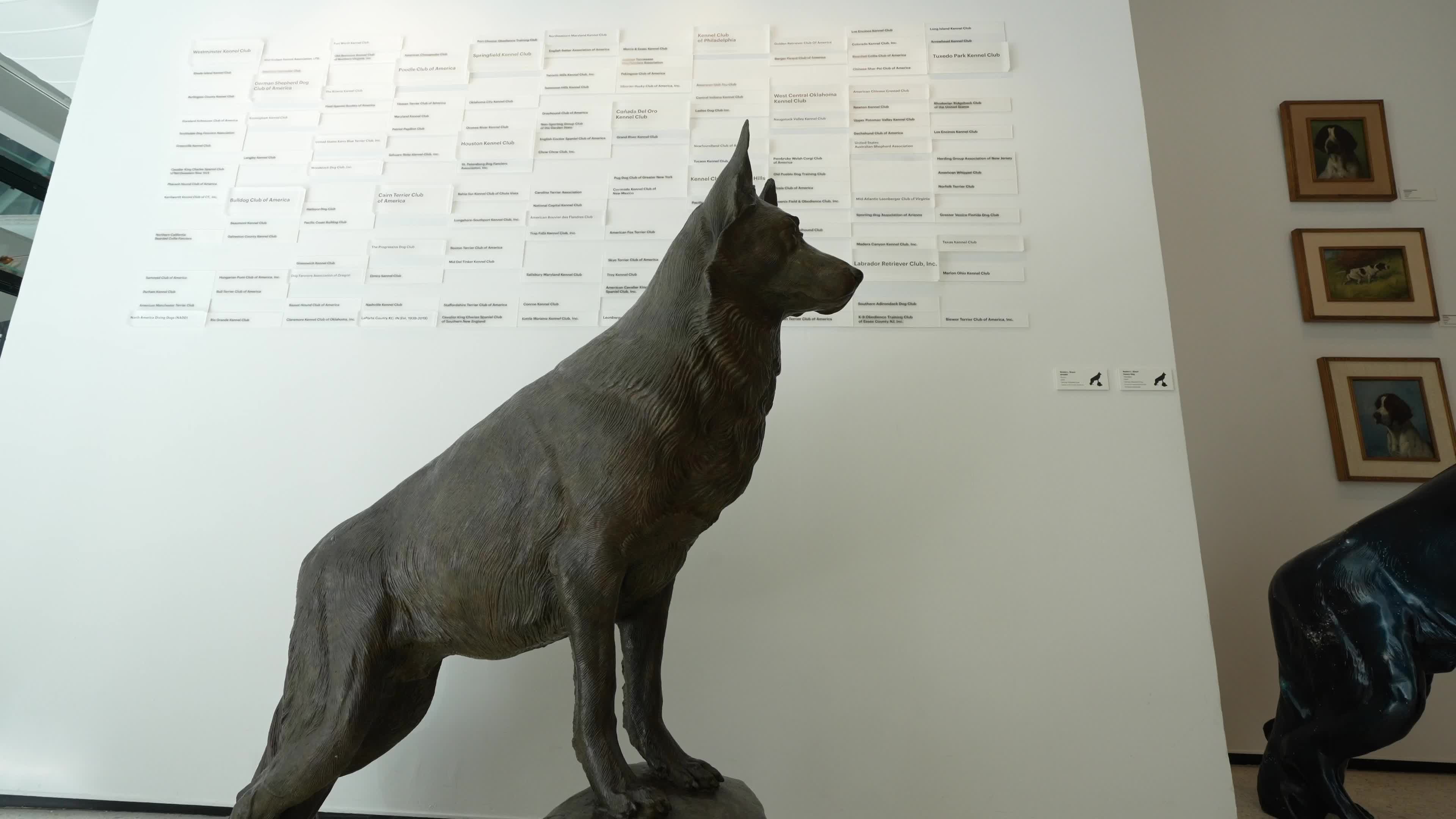 The AKC Museum of the Dog “DOGS OF WAR AND PEACE” EXHIBIT
