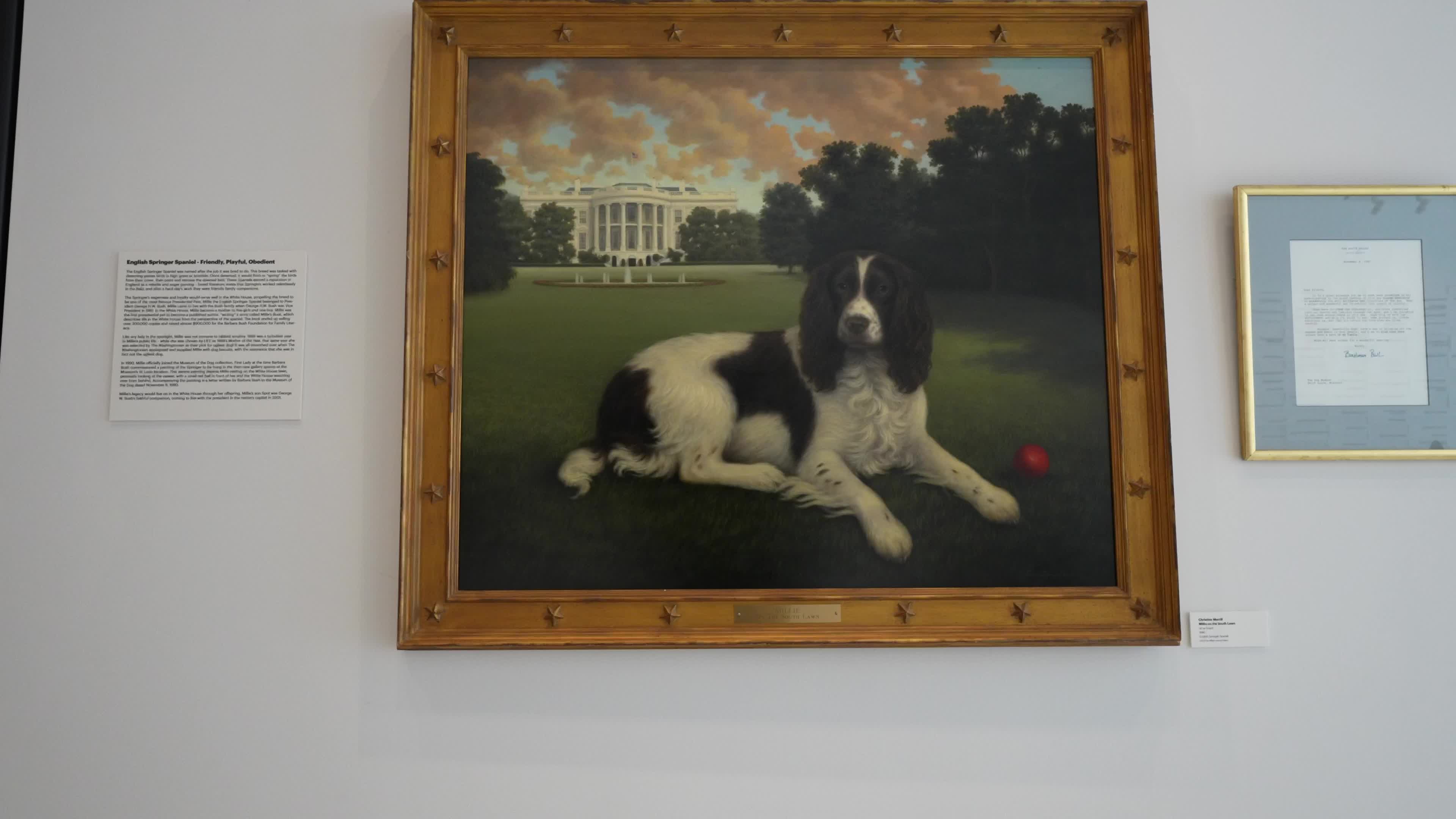 The AKC Museum of the Dog “DOGS OF WAR AND PEACE” EXHIBIT