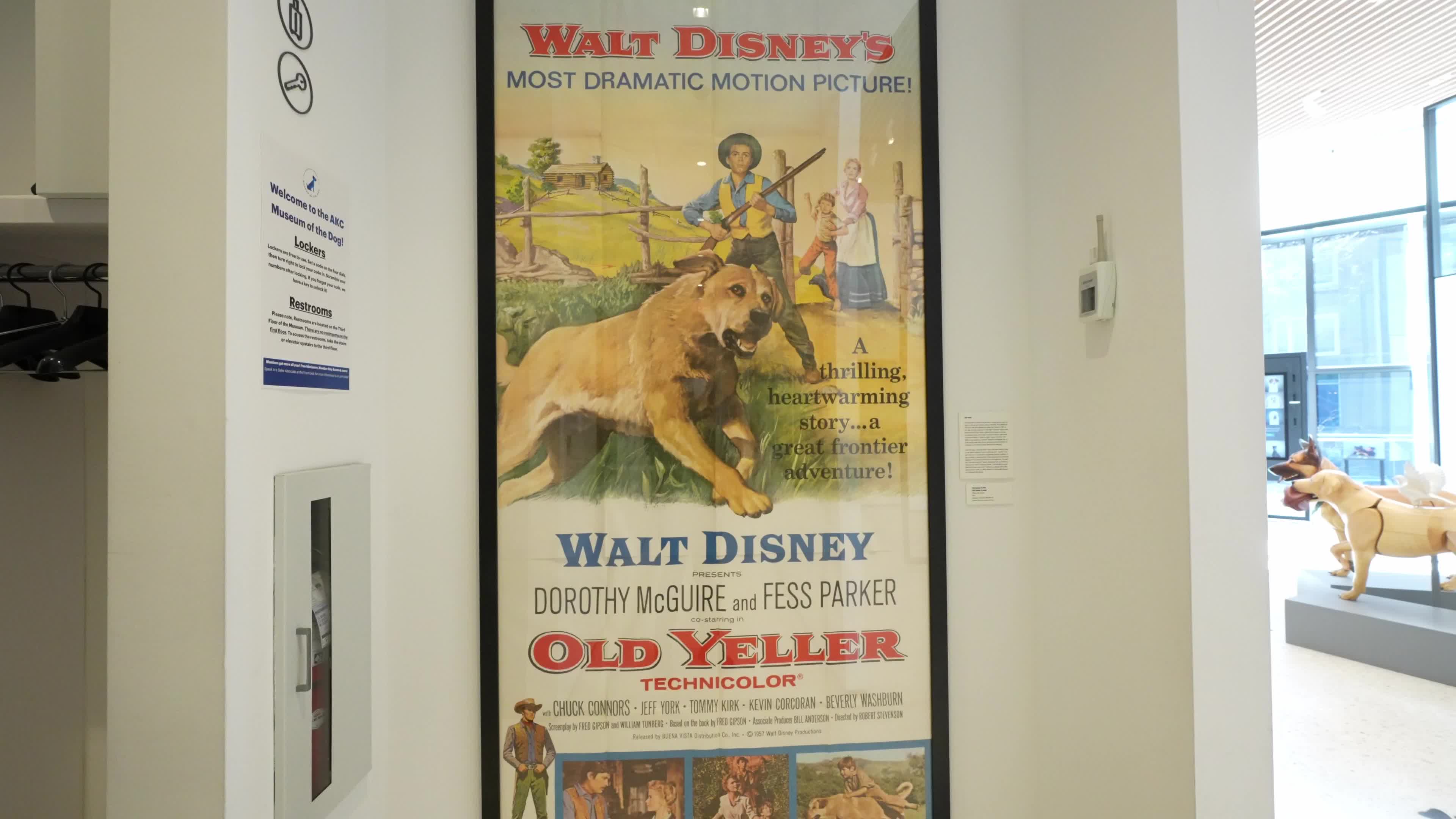 The AKC Museum of the Dog “DOGS OF WAR AND PEACE” EXHIBIT