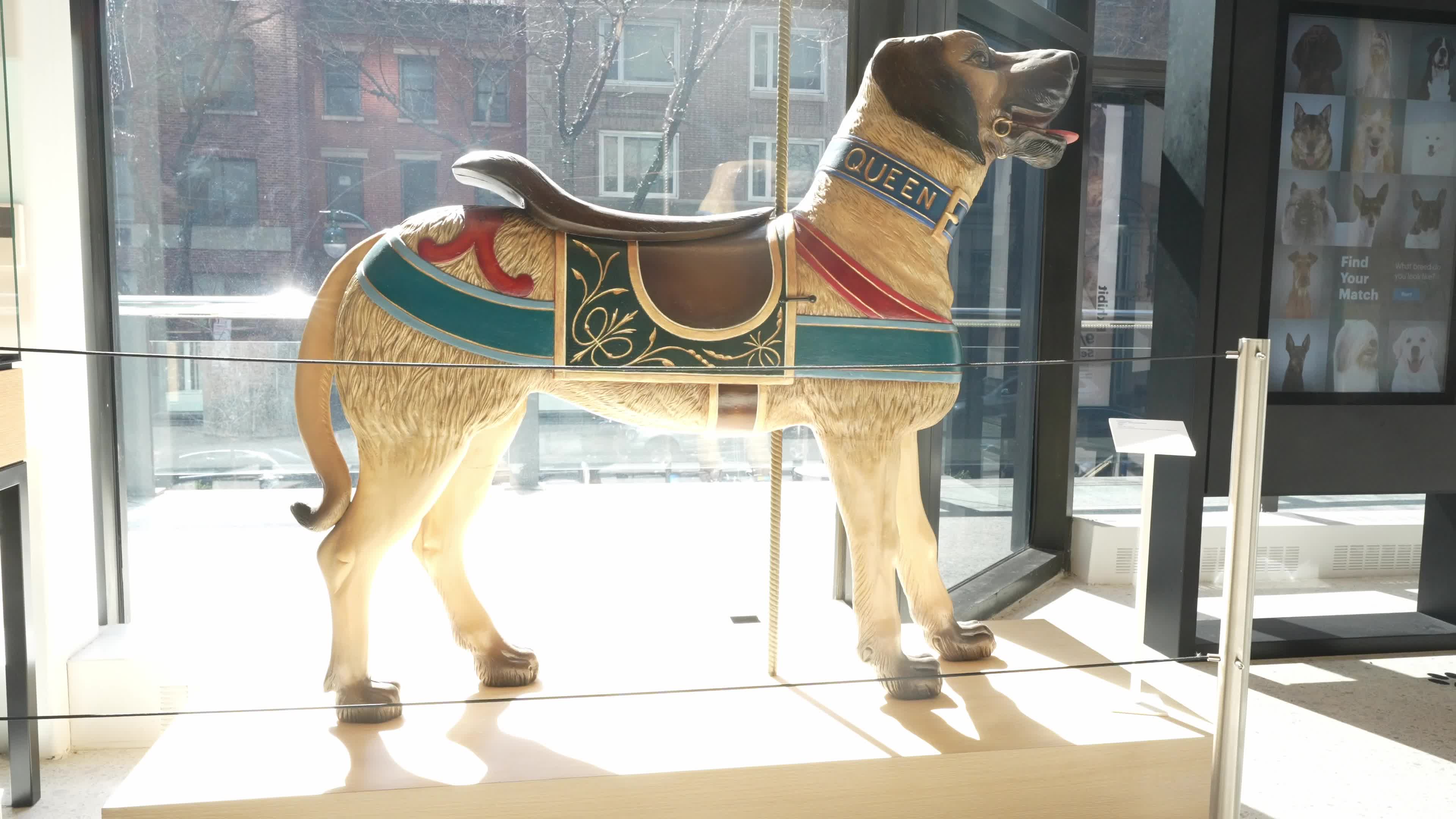 The AKC Museum of the Dog “DOGS OF WAR AND PEACE” EXHIBIT