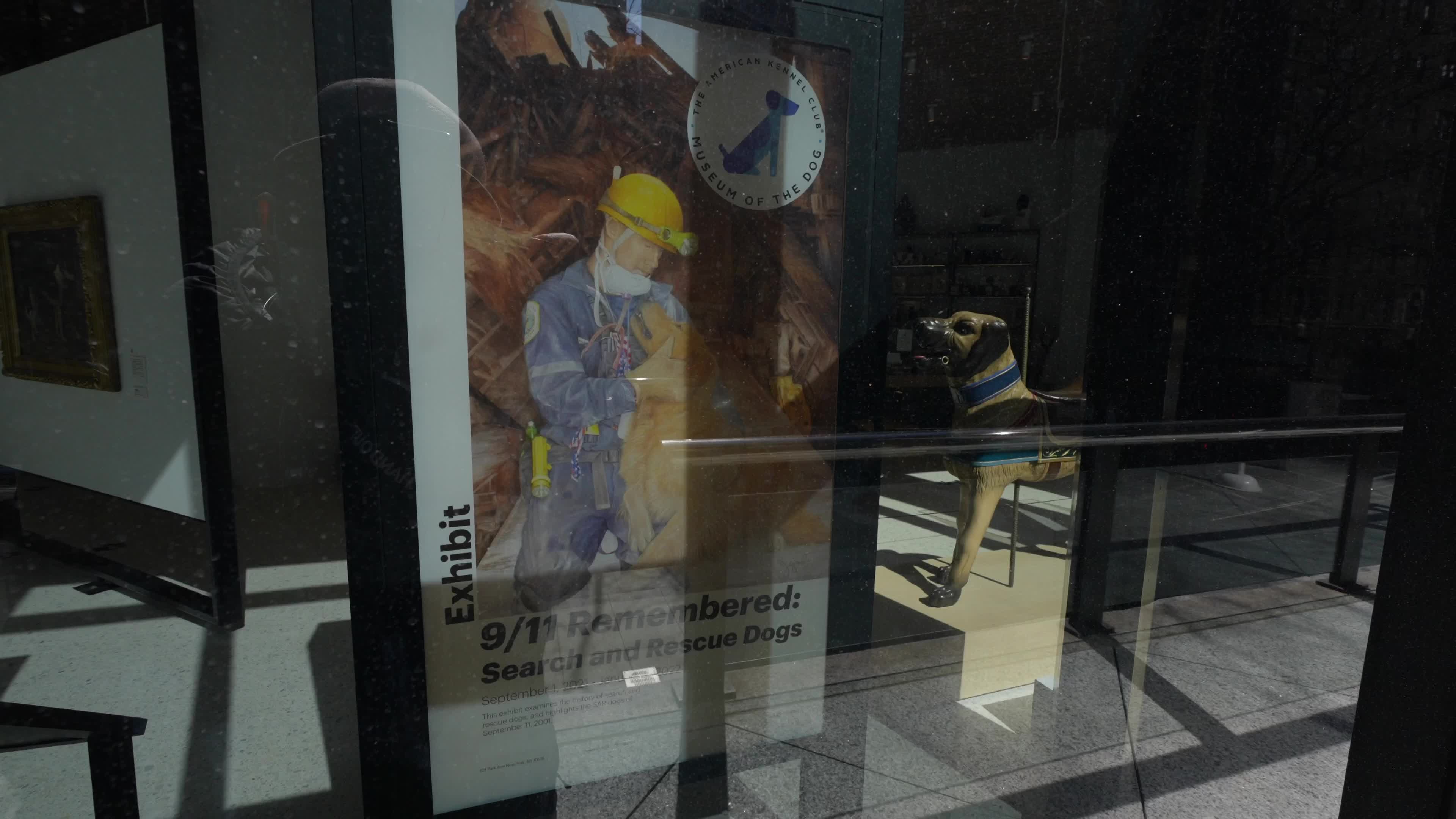 The AKC Museum of the Dog “DOGS OF WAR AND PEACE” EXHIBIT