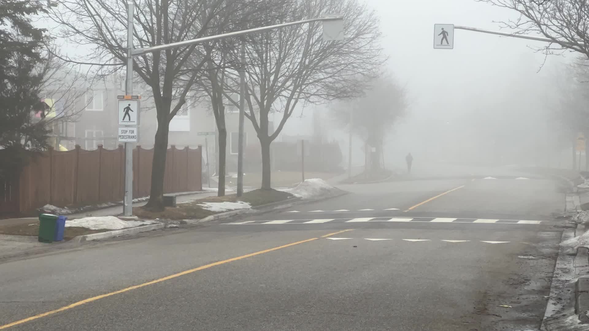 Thick fog covers the city of Toronto 