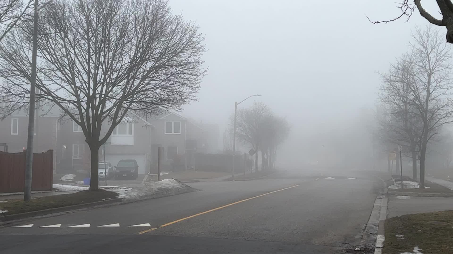 Thick fog covers the city of Toronto 