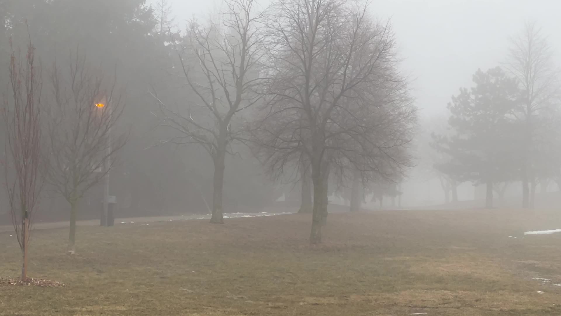 Thick fog covers the city of Toronto 