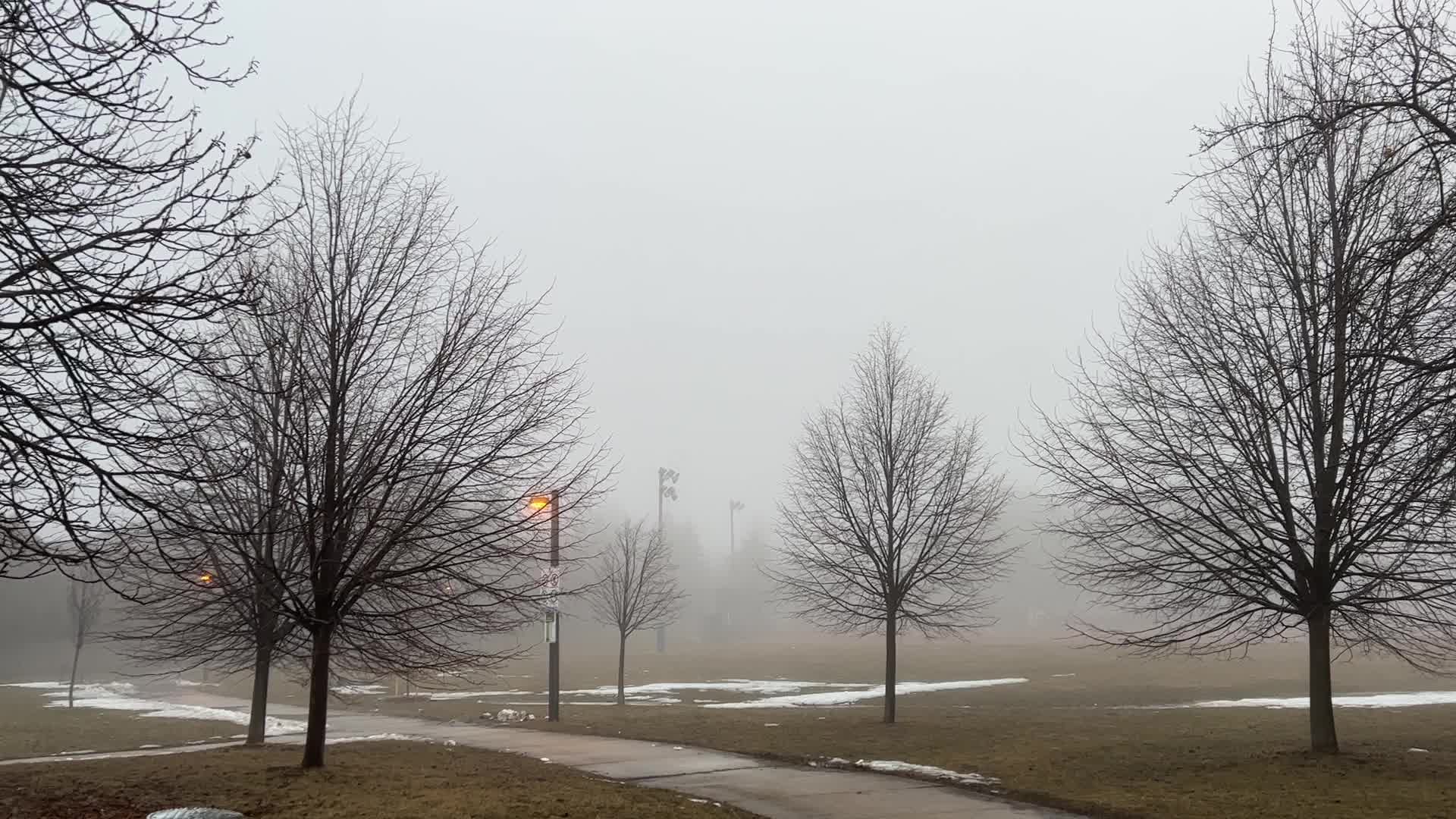 Thick fog covers the city of Toronto 