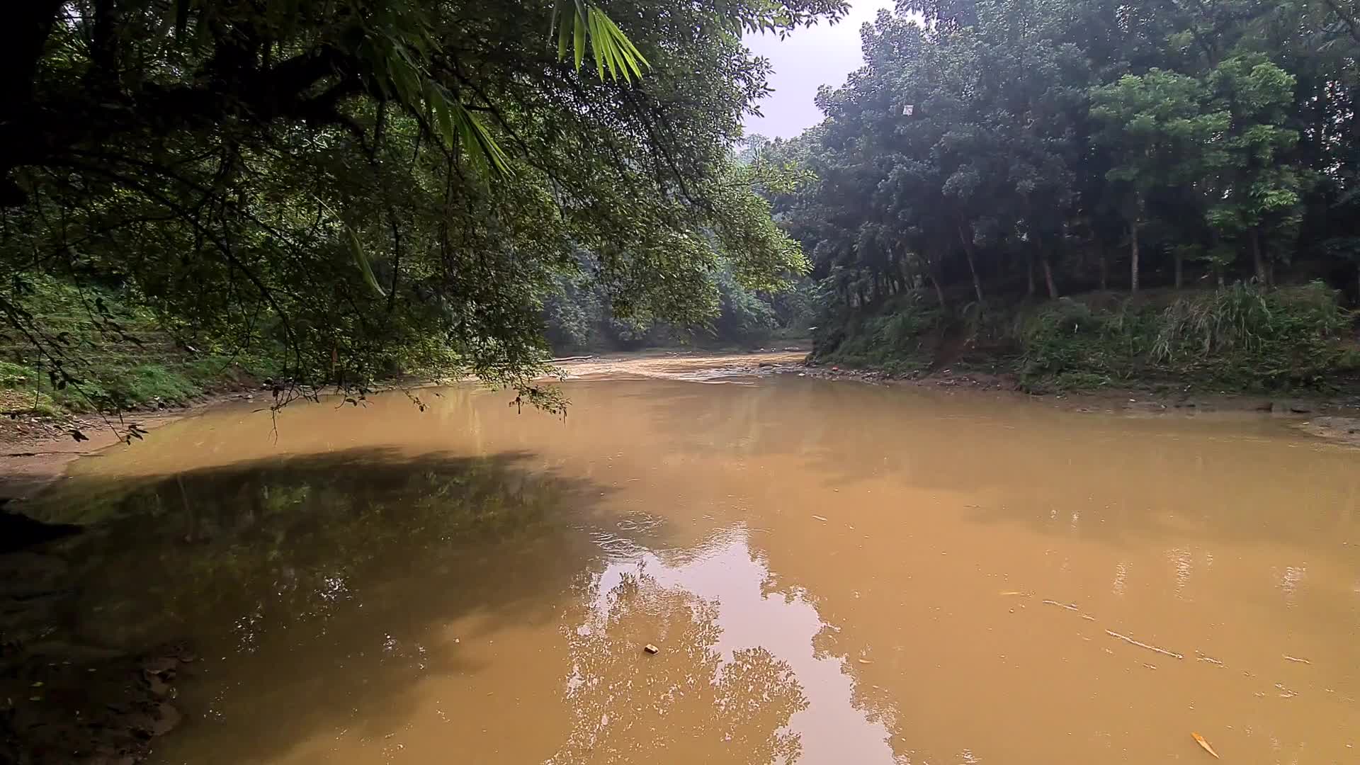 Environmental lovers group clean rivers