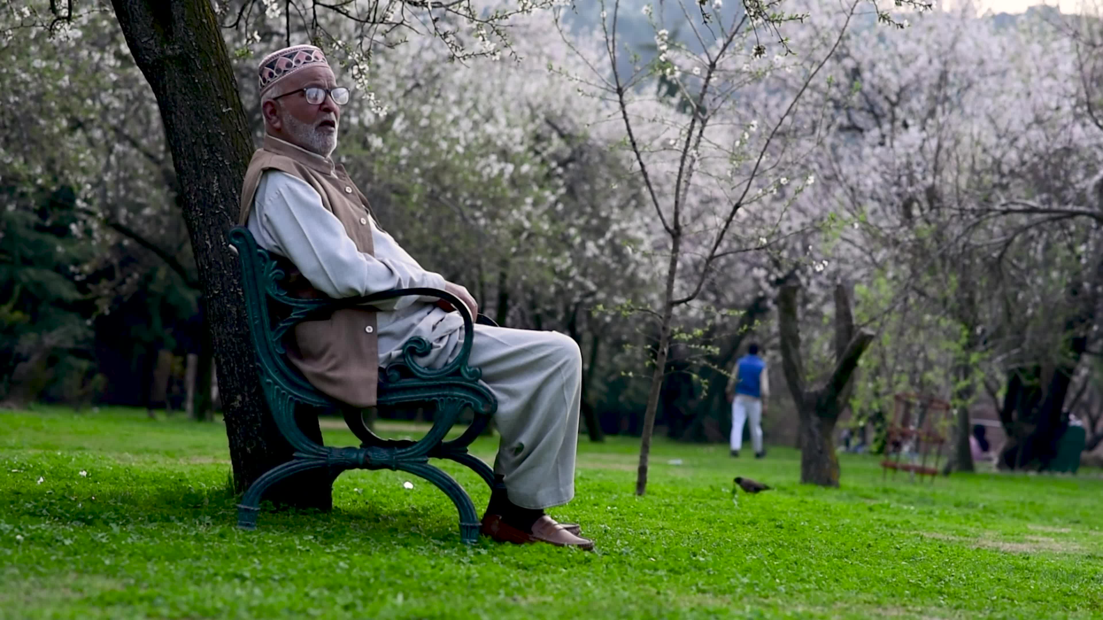 Arrival of Spring in Indian administered Kashmir.