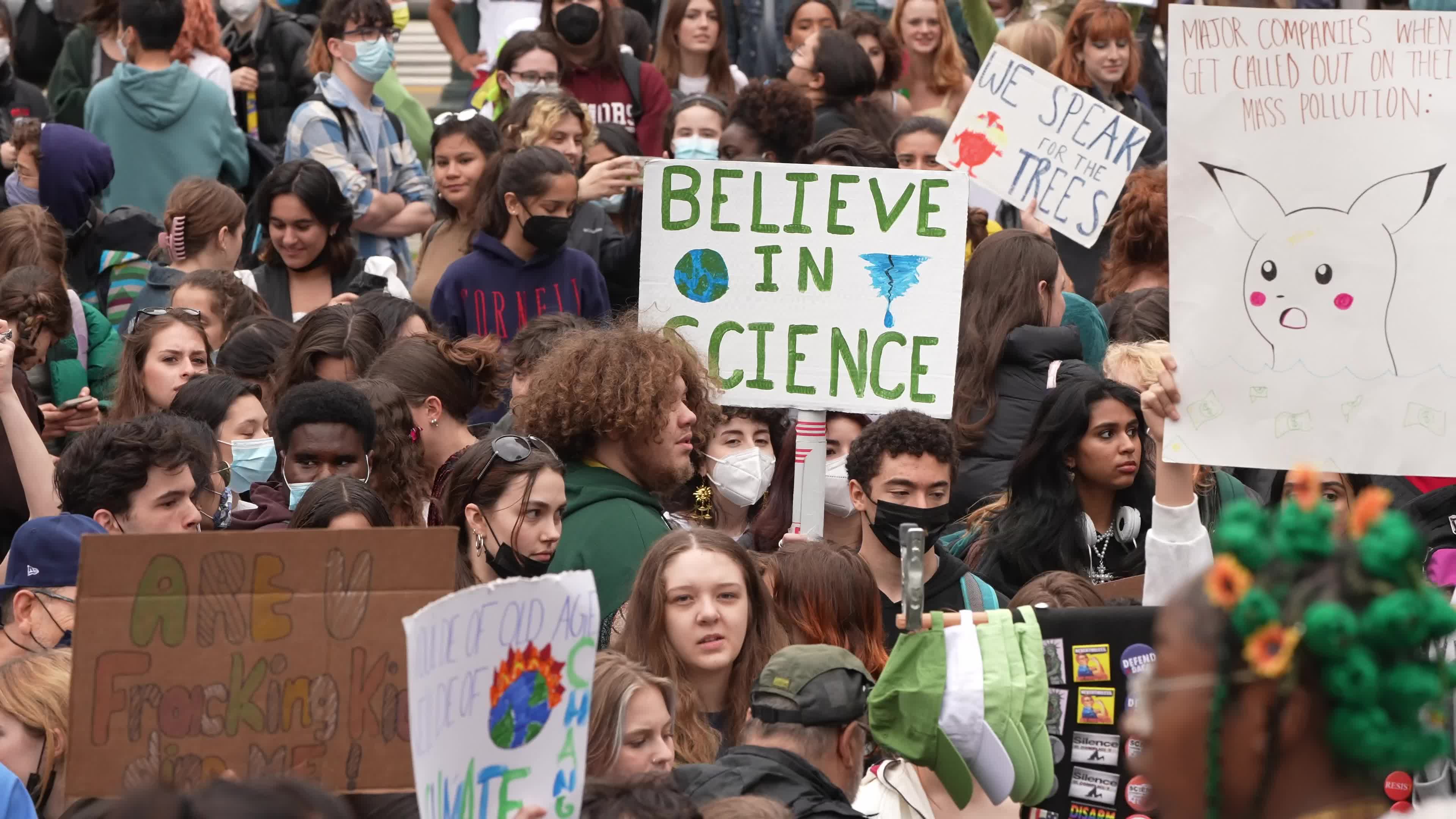 Fridays for Future school climate strikes resume across the world