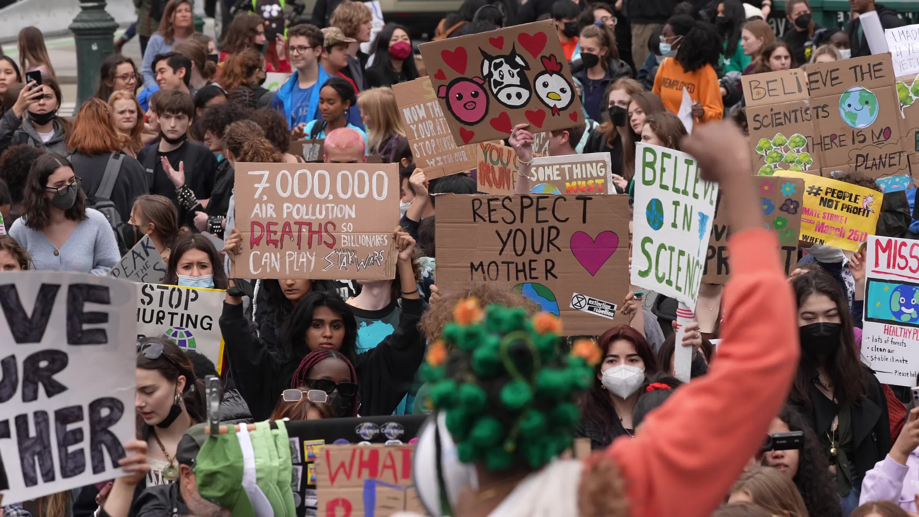 Fridays for Future school climate strikes resume across the world