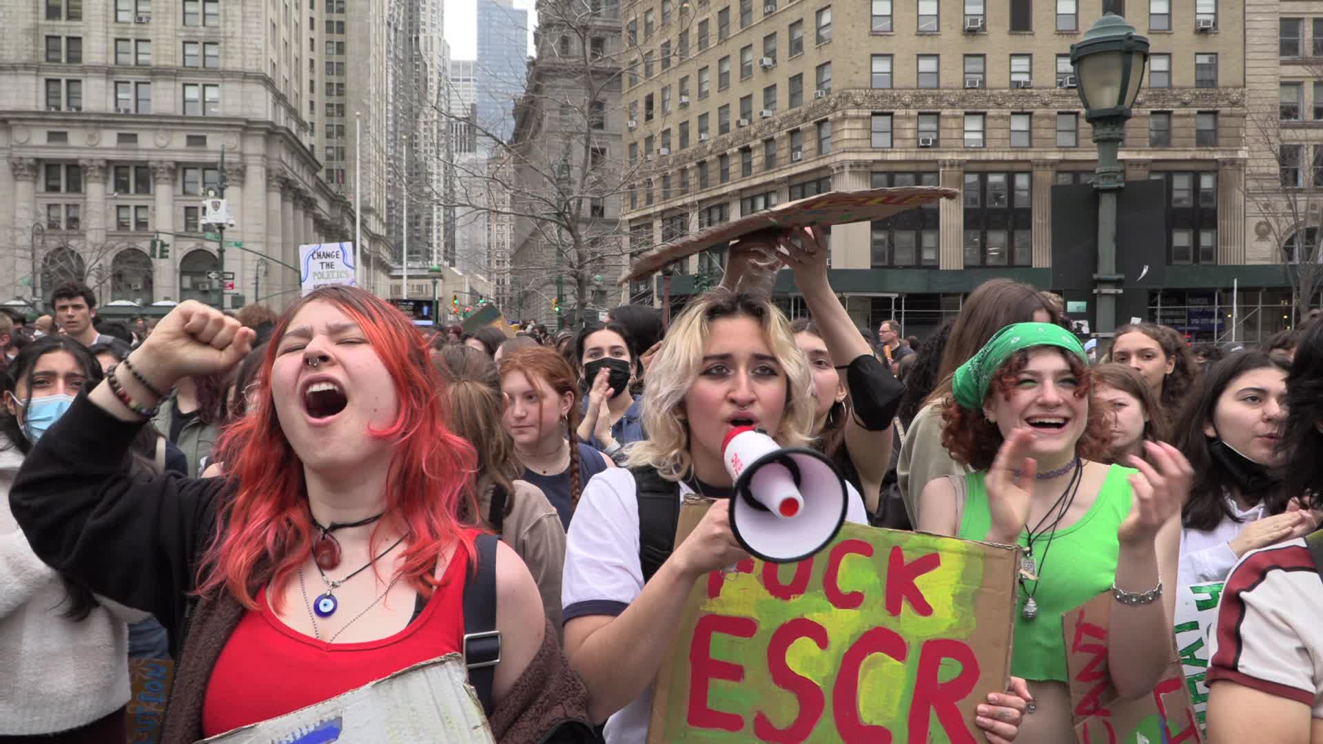 NYC: Youth Climate Strike March Across Brooklyn Bridge