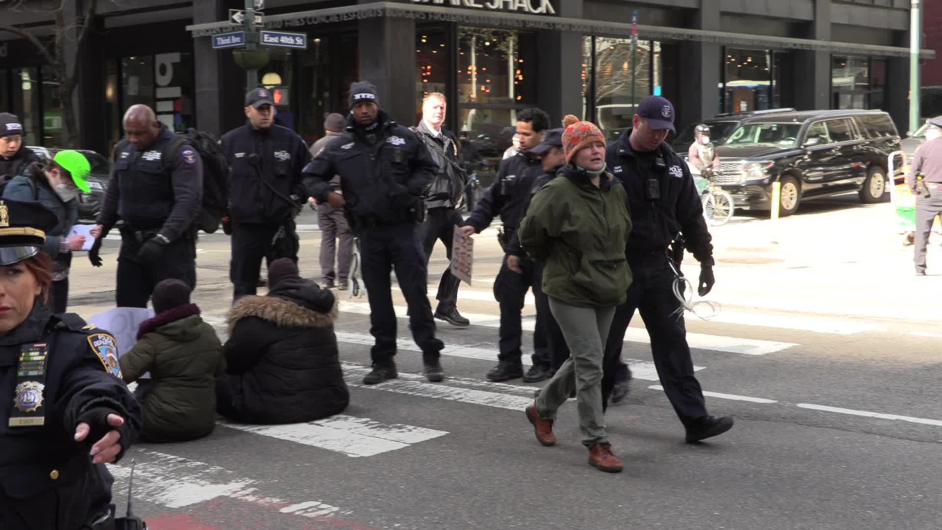 NYC: Housing and climate activists arrested