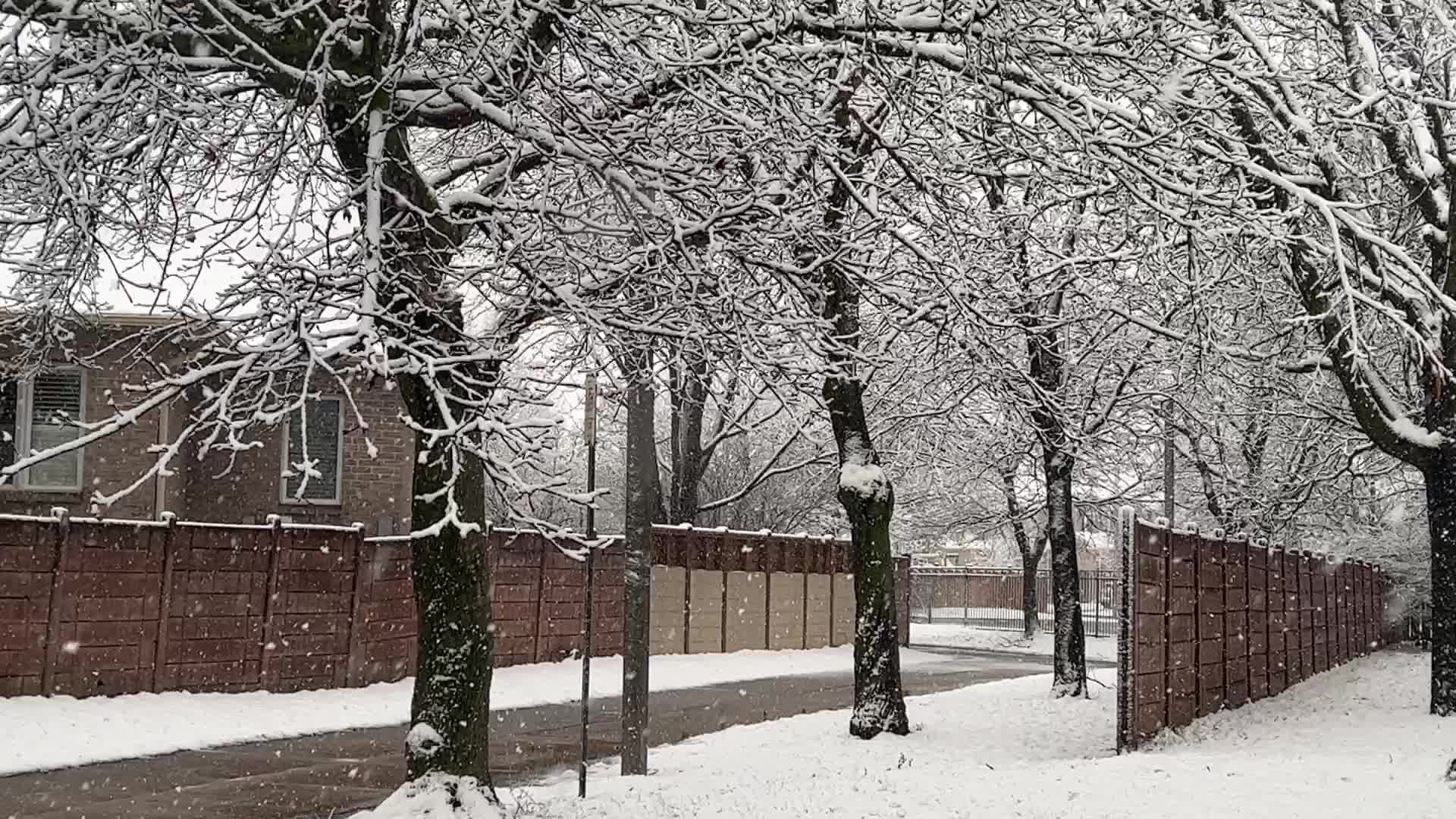 Spring season snowstorm in Toronto