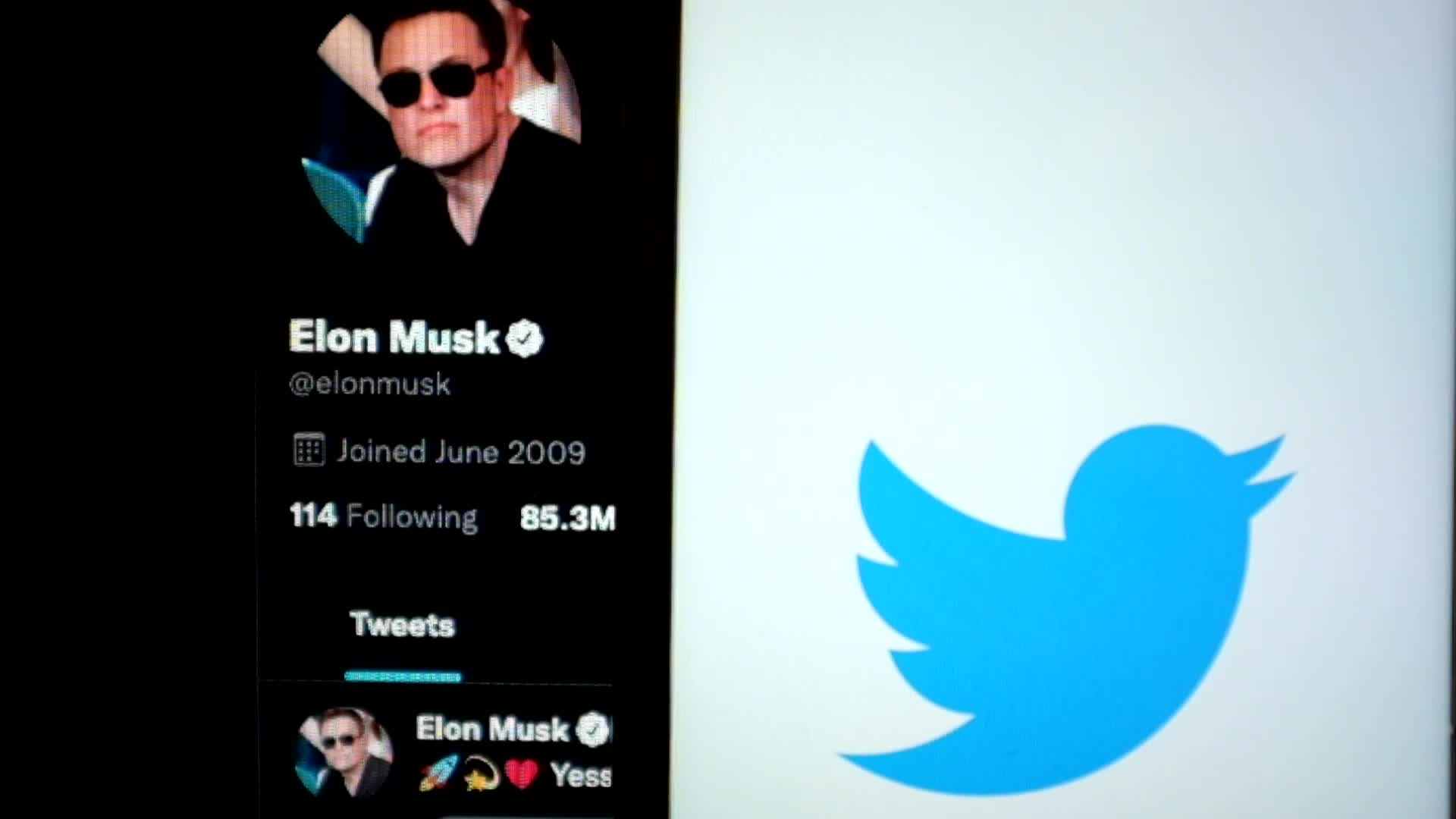 Elon Musk And Twitter Logo Illustration