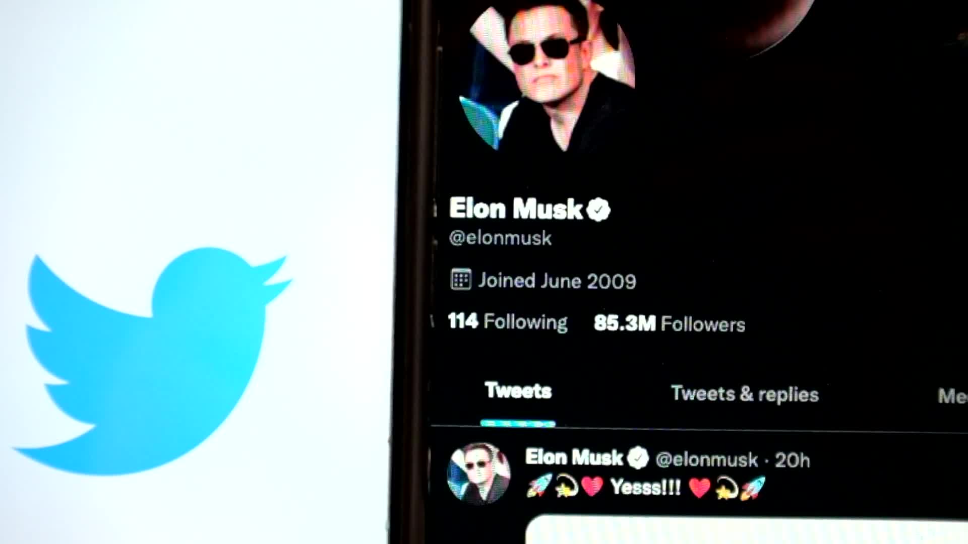 Elon Musk And Twitter Logo Illustration