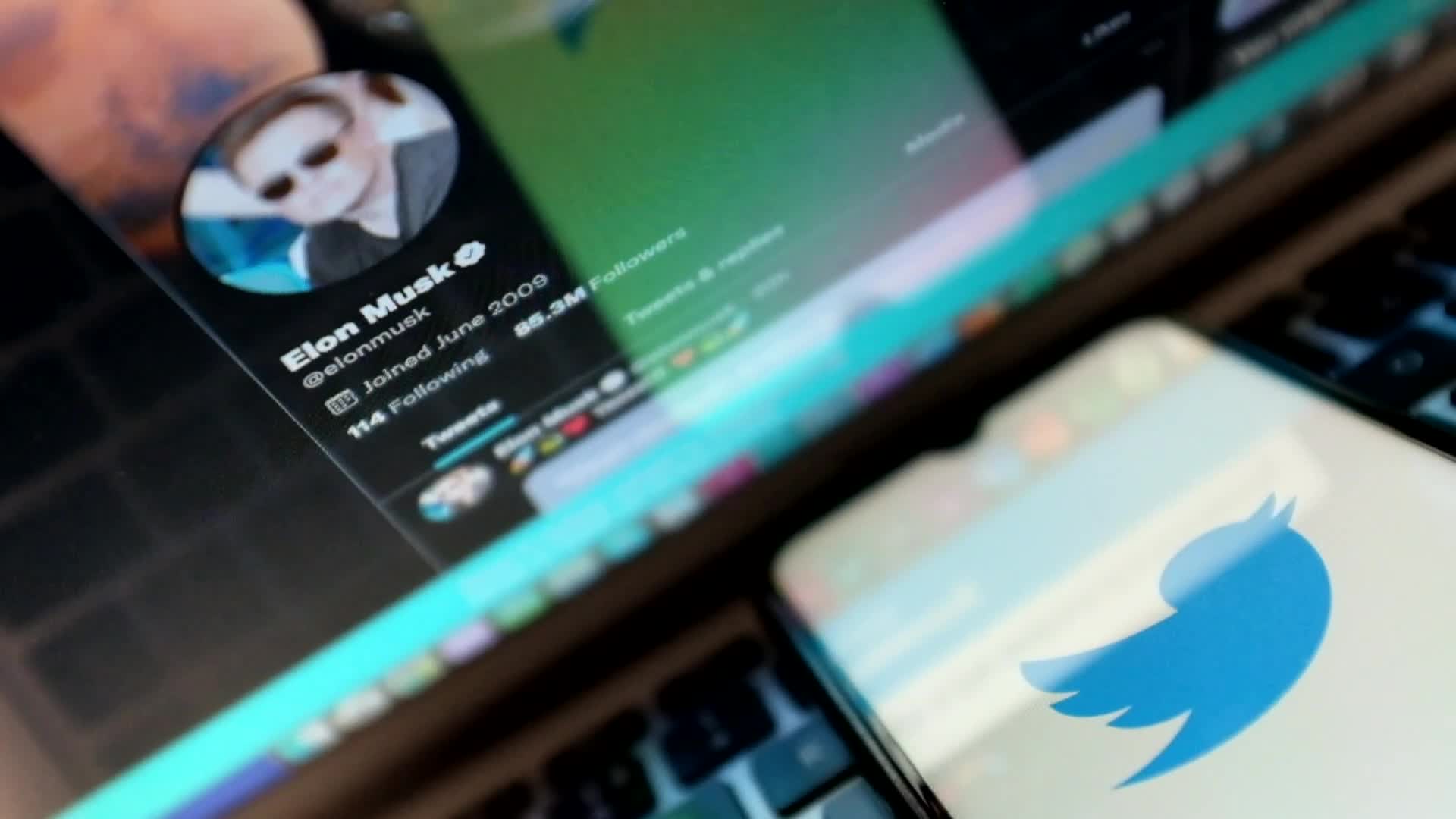 Elon Musk And Twitter Logo Illustration