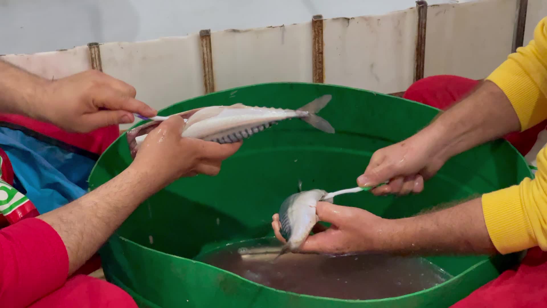 Eid Al Fitr Preparation In Gaza, Palestine